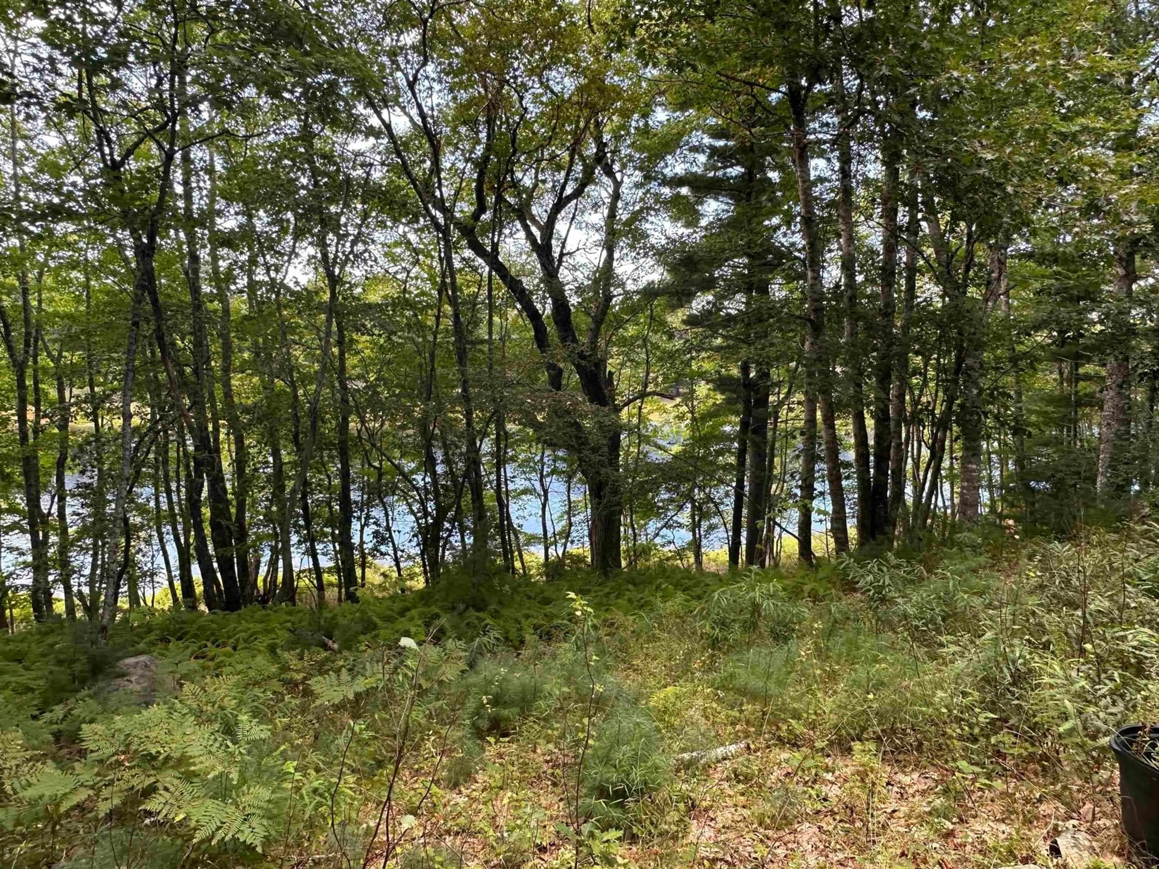 Unknown for 455 Mill Village East Rd, Charleston Nova Scotia B0J 2H0