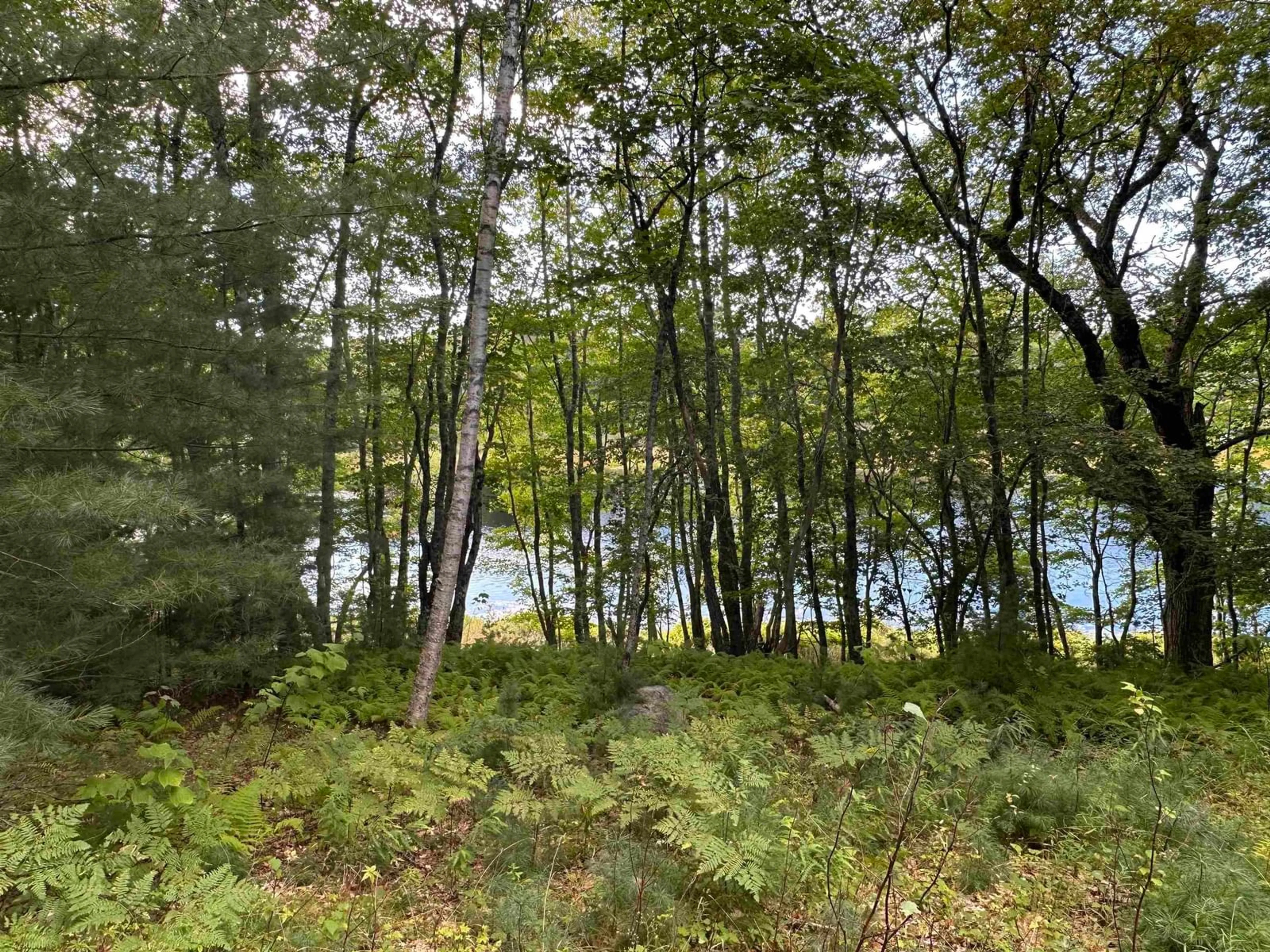 Blurry image for 455 Mill Village East Rd, Charleston Nova Scotia B0J 2H0