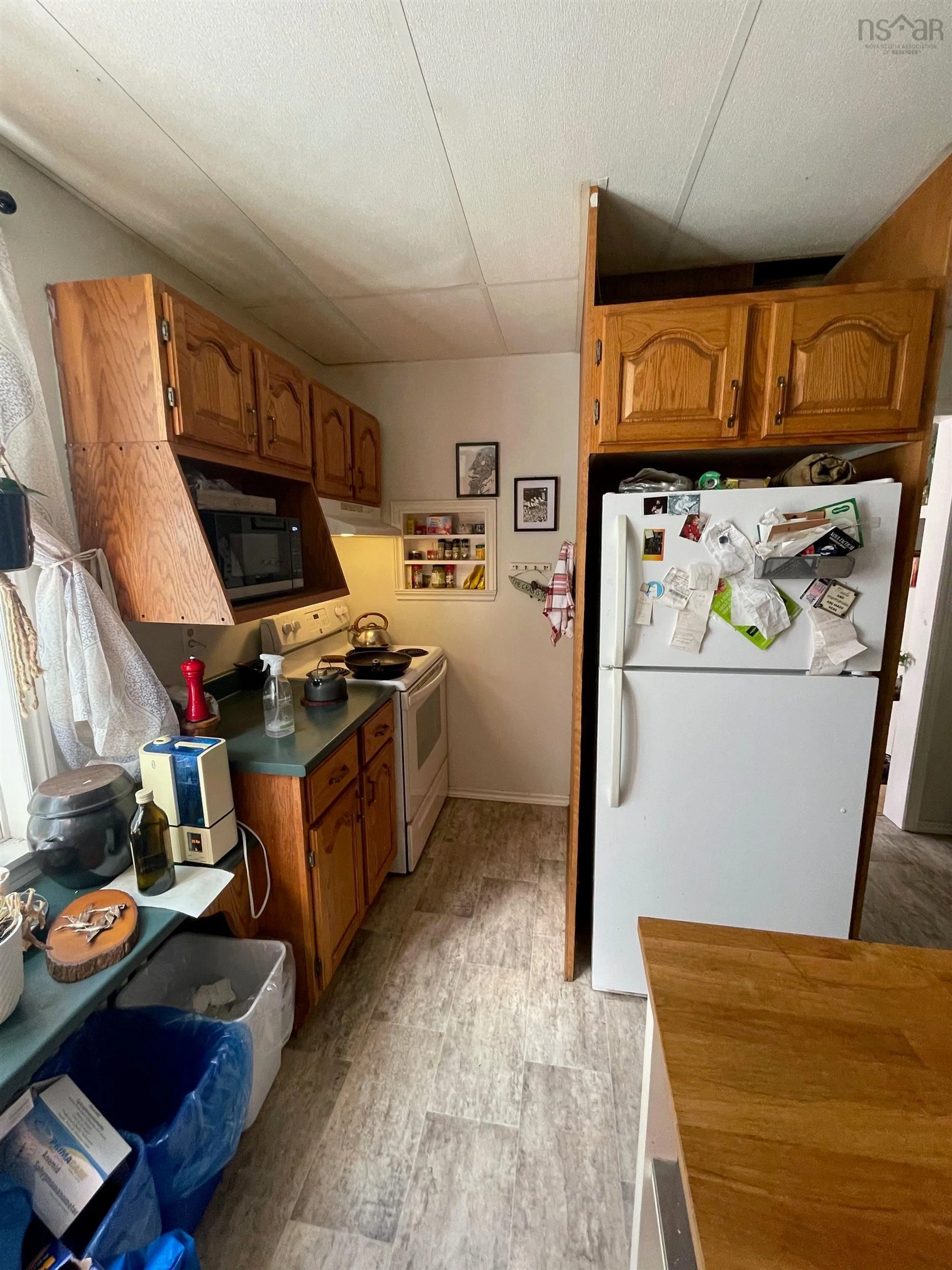 Standard kitchen, unknown for 447 Bentinck Street, Sydney Nova Scotia B1S 2Y8