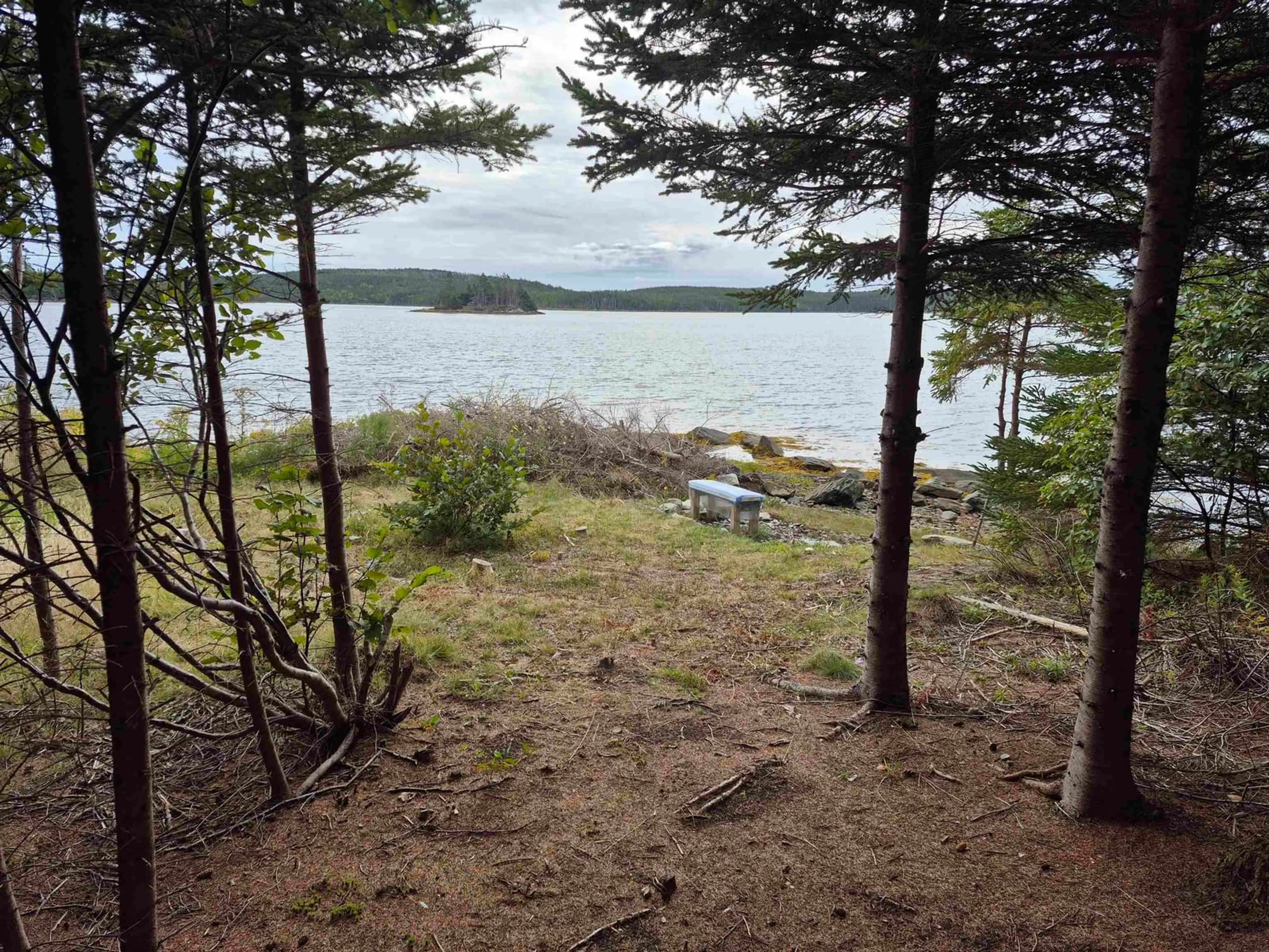 A pic from outside/outdoor area/front of a property/back of a property/a pic from drone, water/lake/river/ocean view for 4639 7 Hwy, Liscomb Nova Scotia B0J 2A0