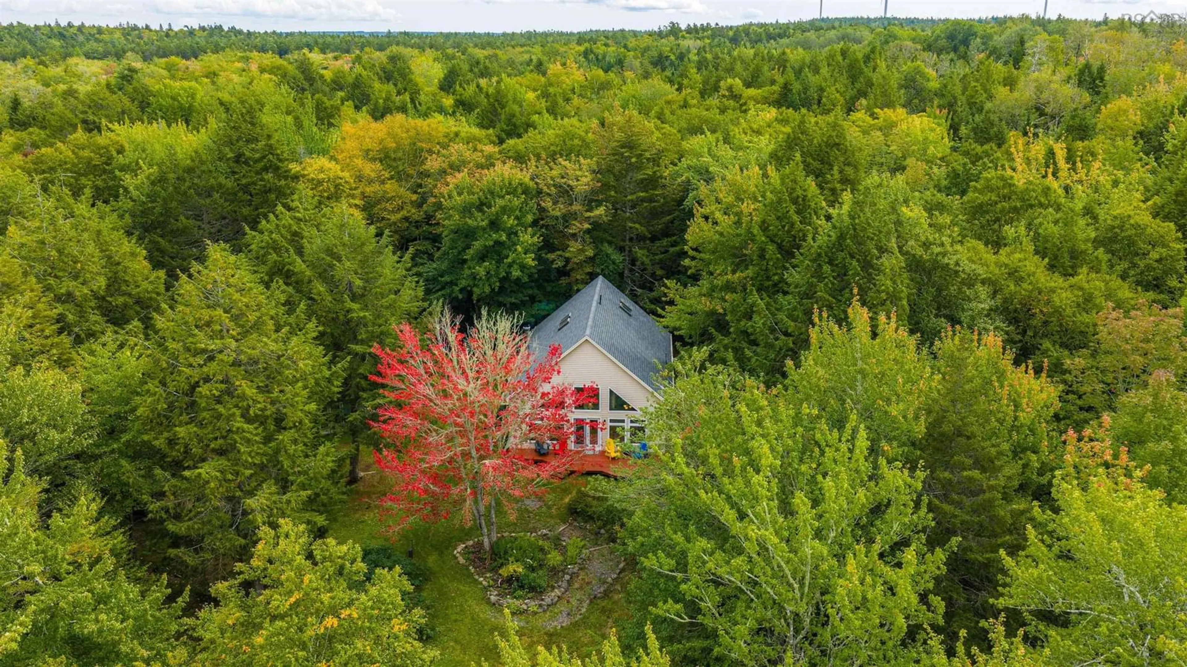 A pic from outside/outdoor area/front of a property/back of a property/a pic from drone, forest/trees view for 103 Canoe Lake Cove Rd, Leminster Nova Scotia B0N 2T0