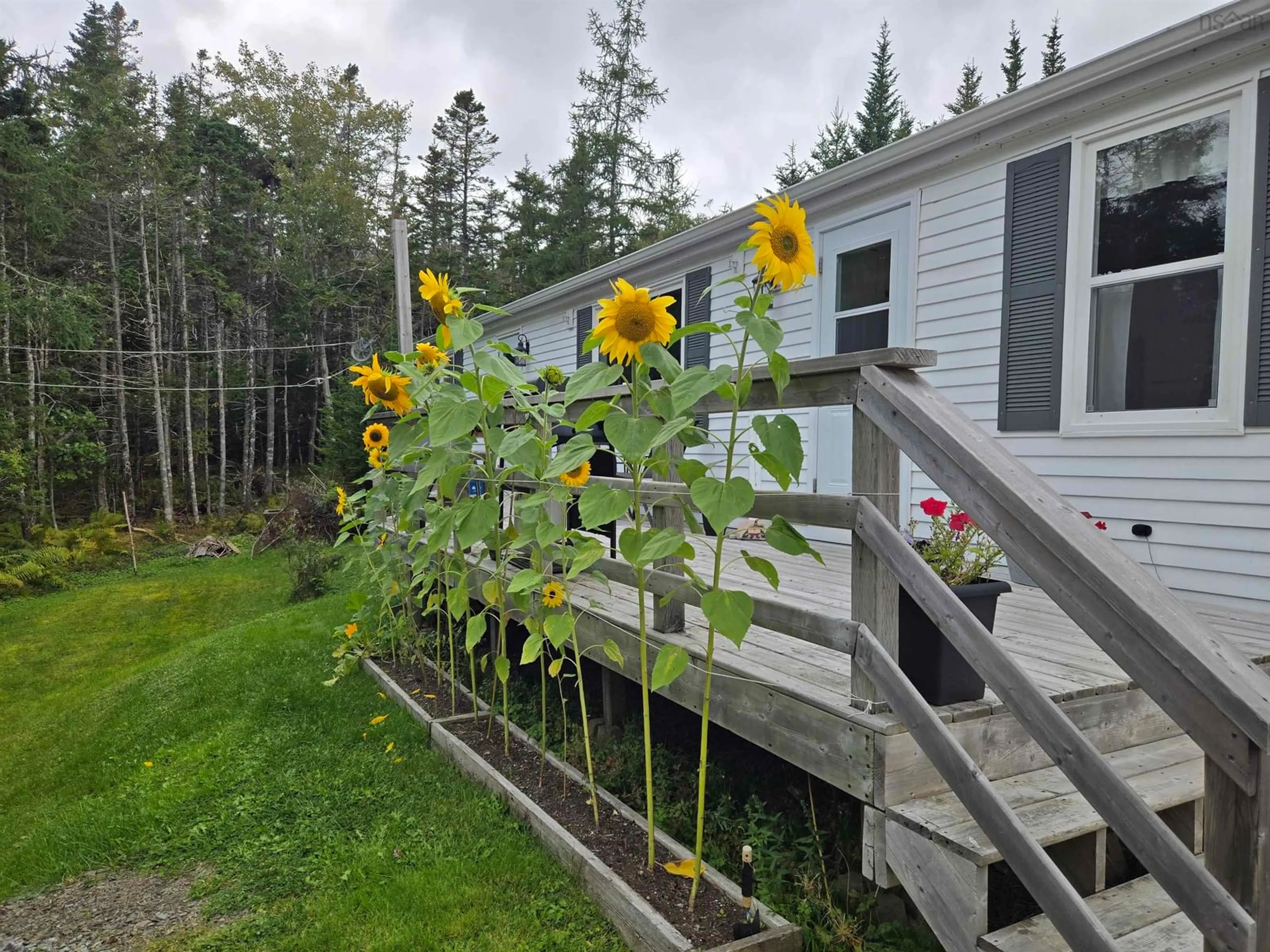Shed for 69 De Raymond St, St. Peter's Nova Scotia B0E 3B0