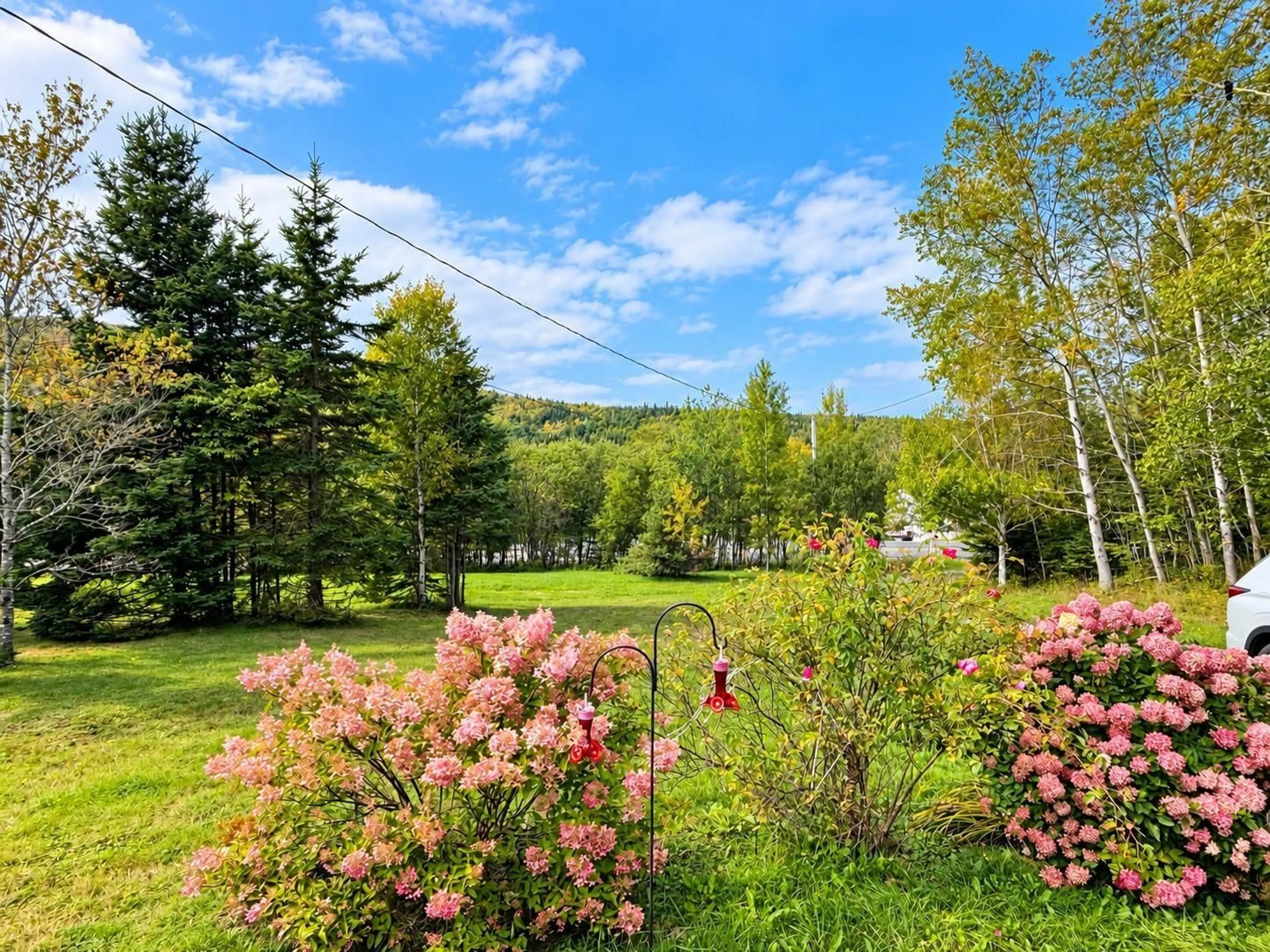 Patio, forest/trees view for 215 Scotch Lake Rd, Georges River Nova Scotia B1Y 3V5