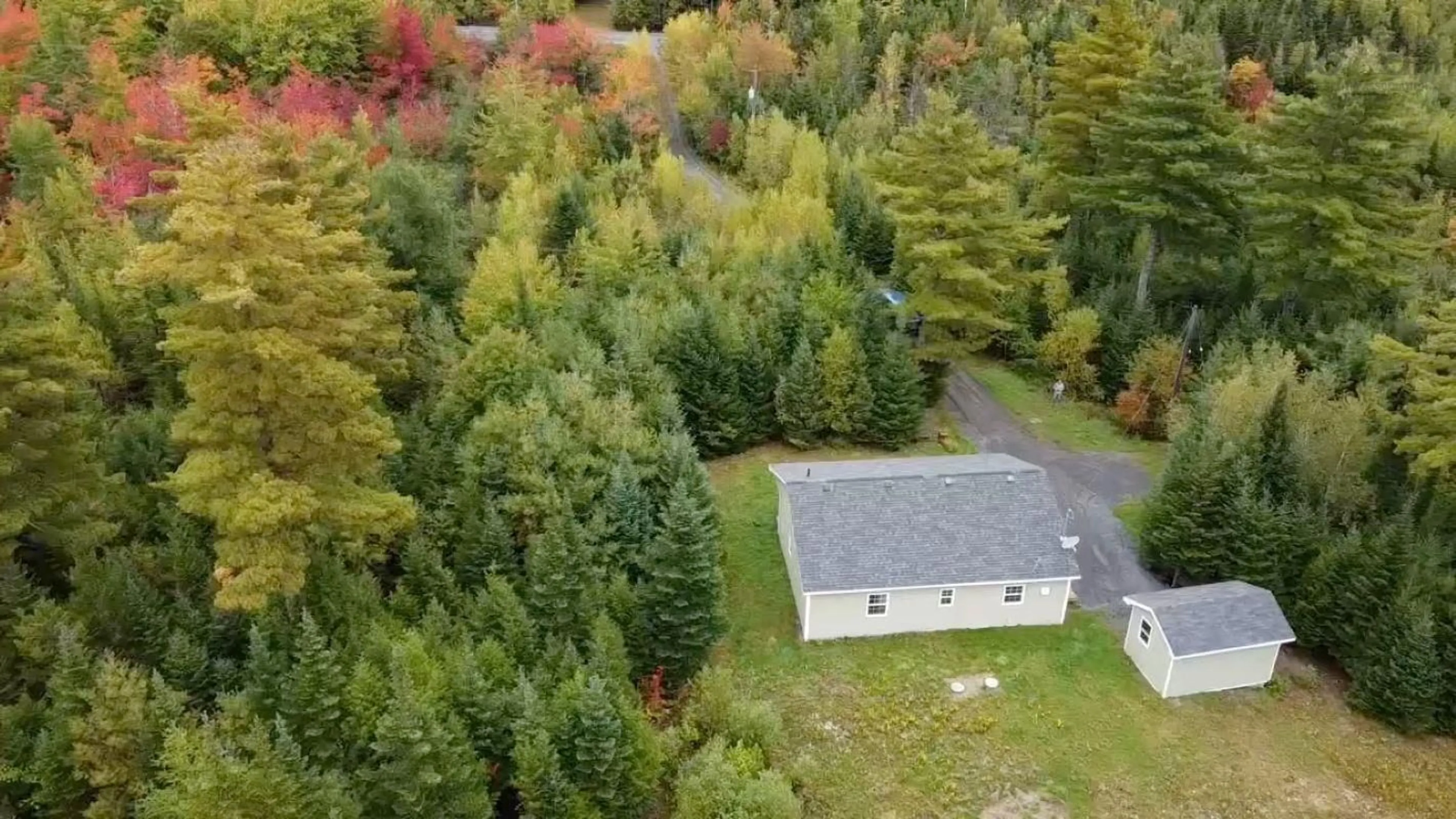 A pic from outside/outdoor area/front of a property/back of a property/a pic from drone, forest/trees view for 2247 Camperdown Road, Lapland Nova Scotia B4V 7S7
