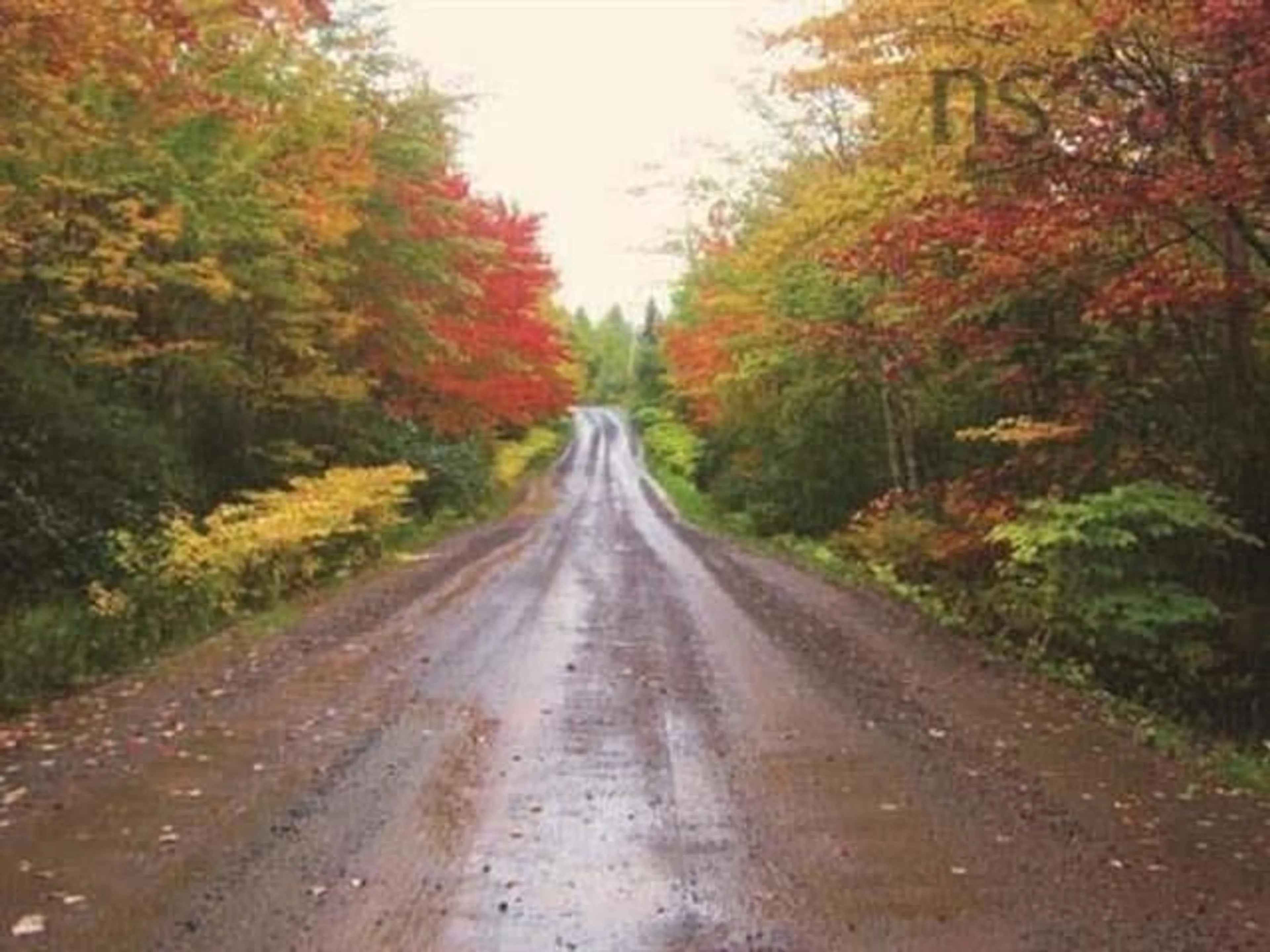 Blurry image for 140 Joudrey Rd, Barrachois Nova Scotia B0K 1V0