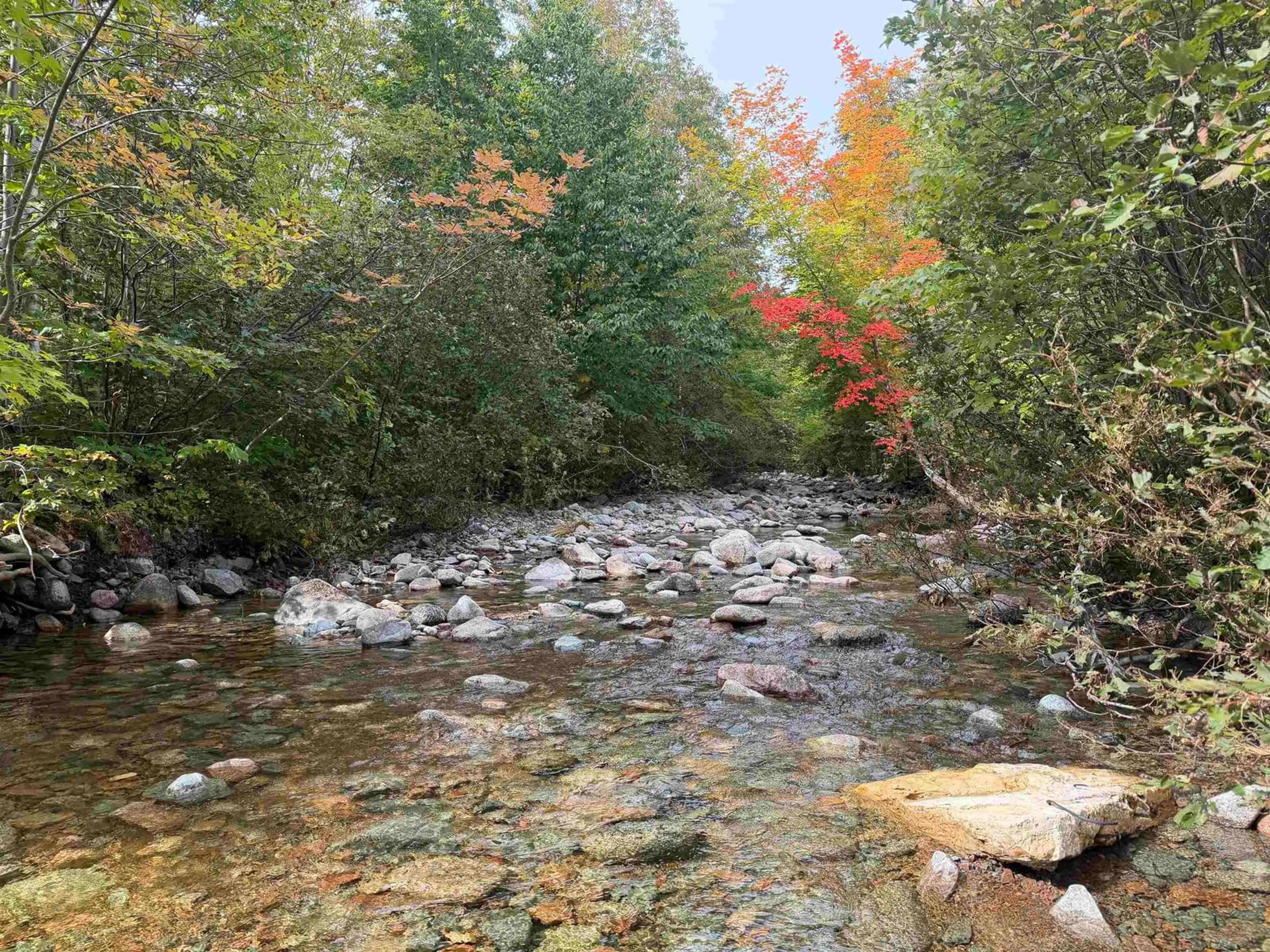 Blurry image for 101 Millbrook Road, Wreck Cove Nova Scotia B0C 1H0