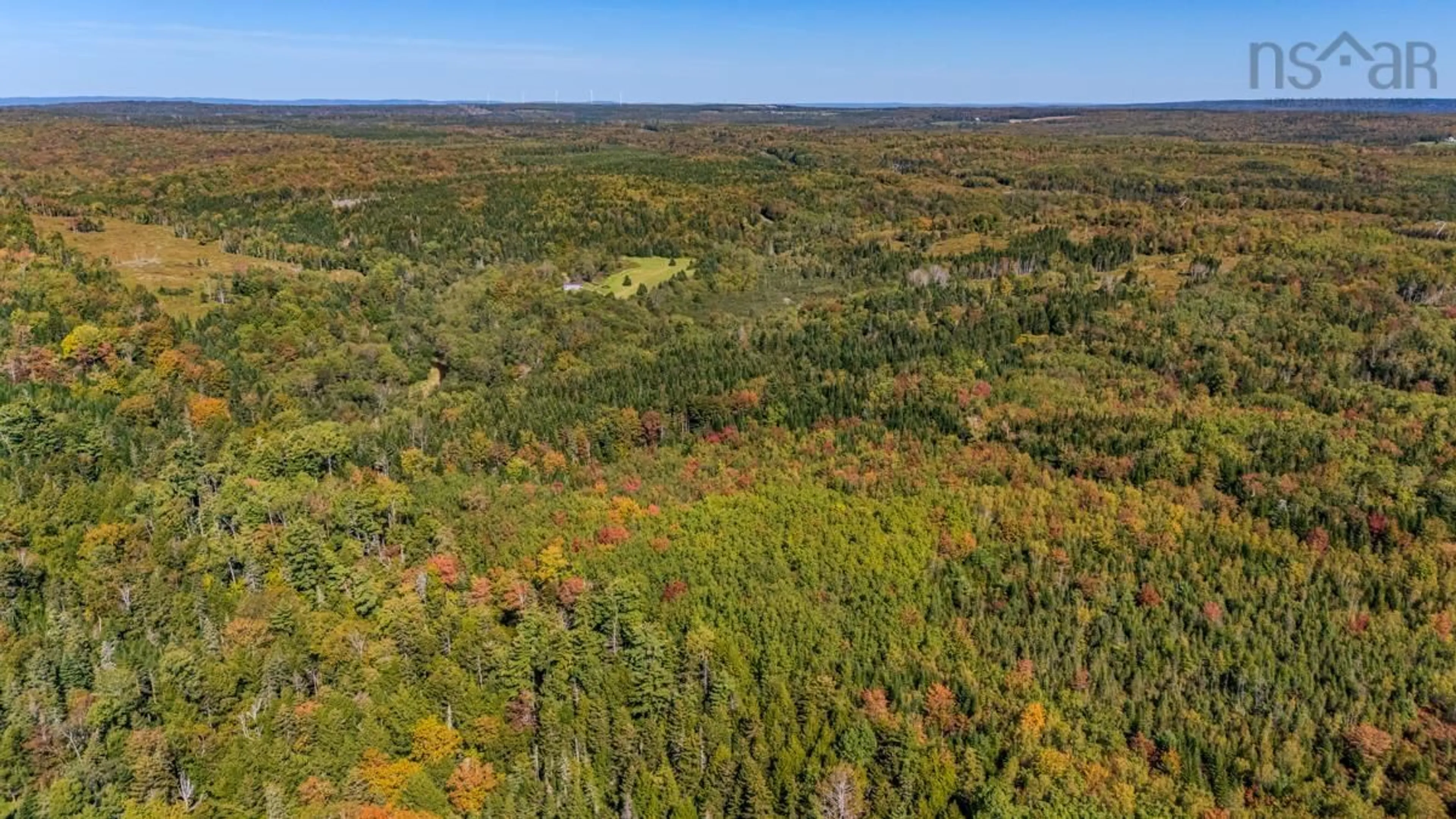 A pic from outside/outdoor area/front of a property/back of a property/a pic from drone, forest/trees view for 1554 Pleasant Valley Rd, Green Creek Nova Scotia B0N 1C0