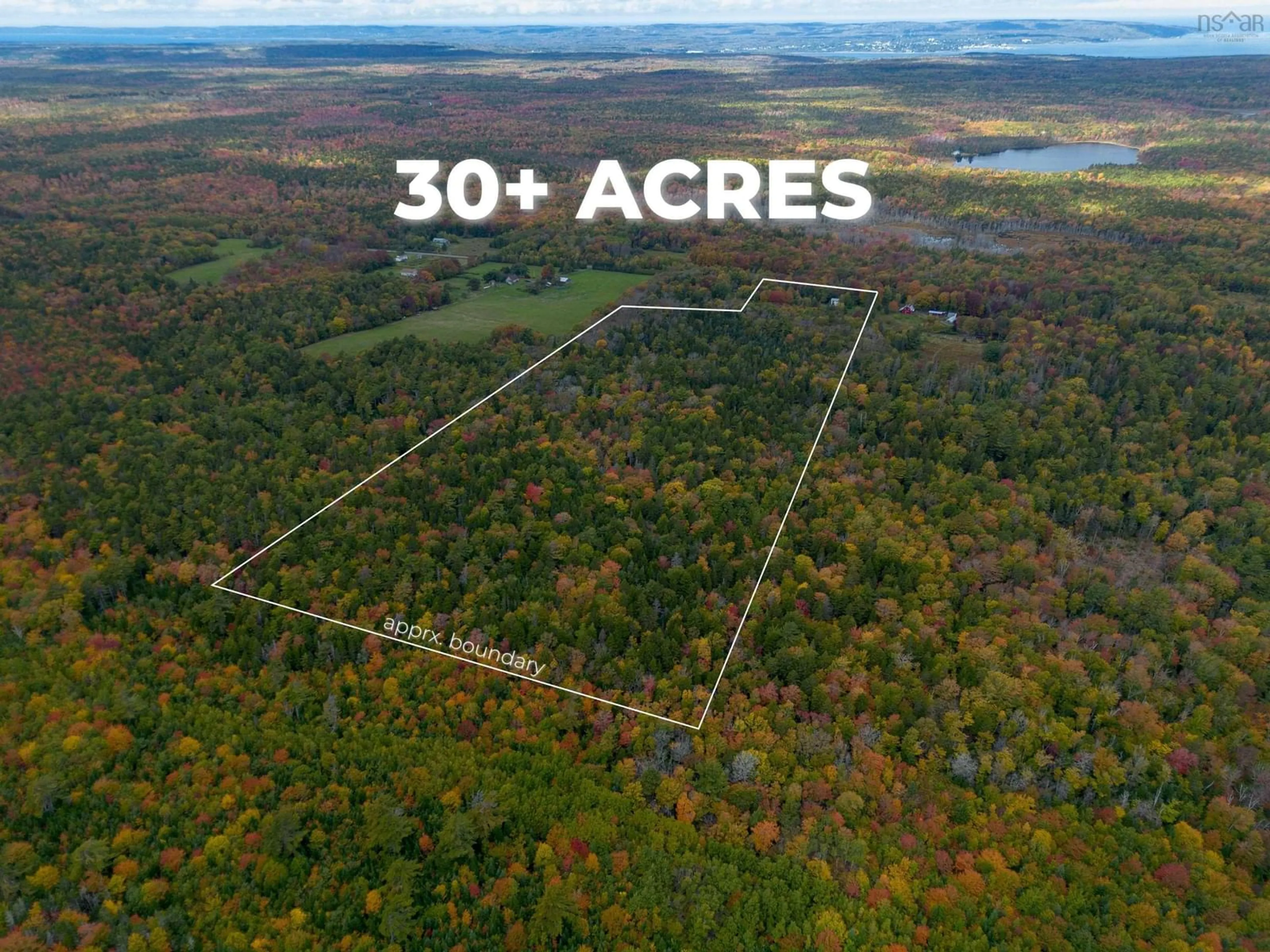 A pic from outside/outdoor area/front of a property/back of a property/a pic from drone, forest/trees view for 6220 Sissiboo Rd, Bear River Nova Scotia B0S 1B0