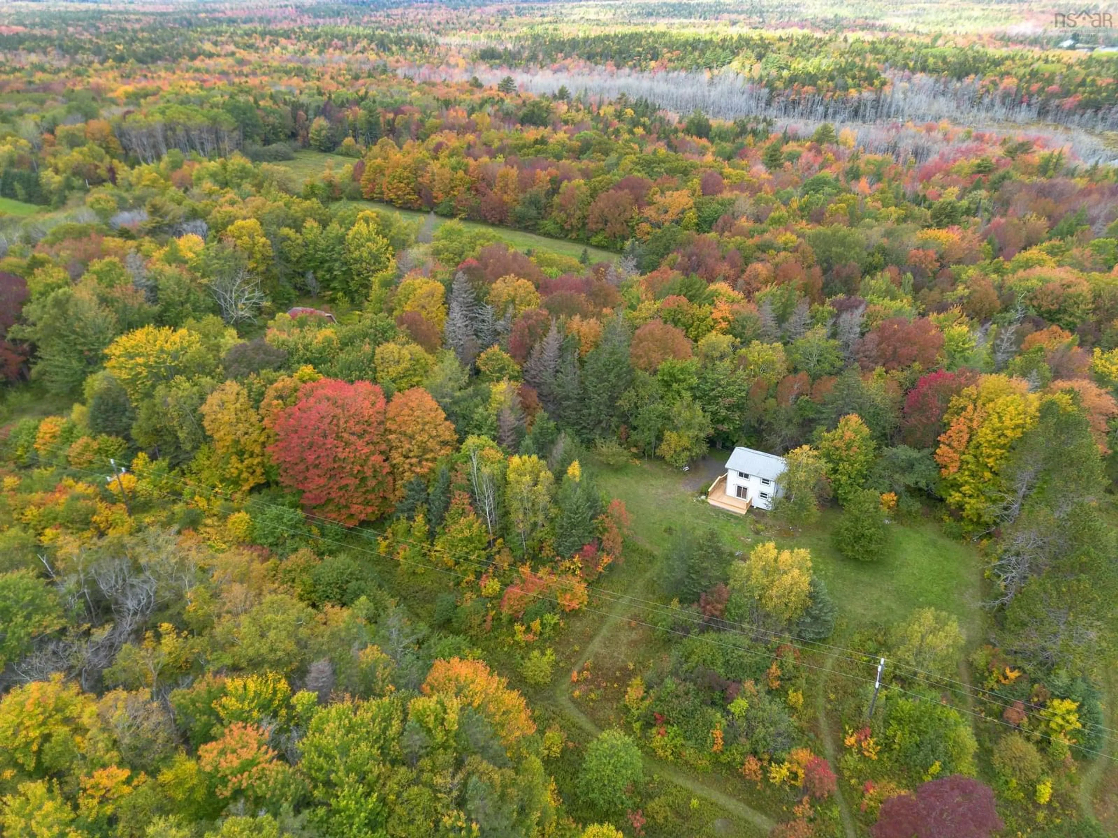 A pic from outside/outdoor area/front of a property/back of a property/a pic from drone, forest/trees view for 6220 Sissiboo Rd, Bear River Nova Scotia B0S 1B0