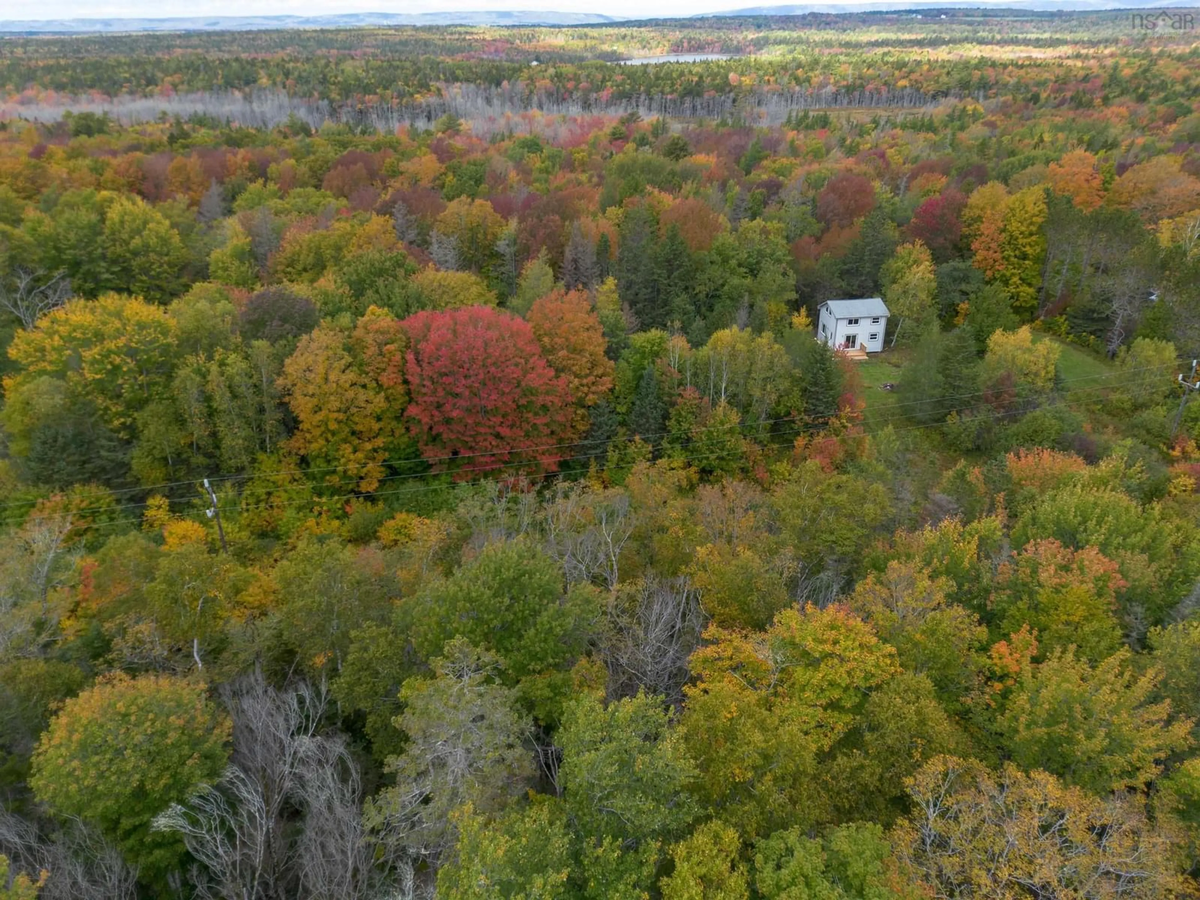A pic from outside/outdoor area/front of a property/back of a property/a pic from drone, forest/trees view for 6220 Sissiboo Rd, Bear River Nova Scotia B0S 1B0