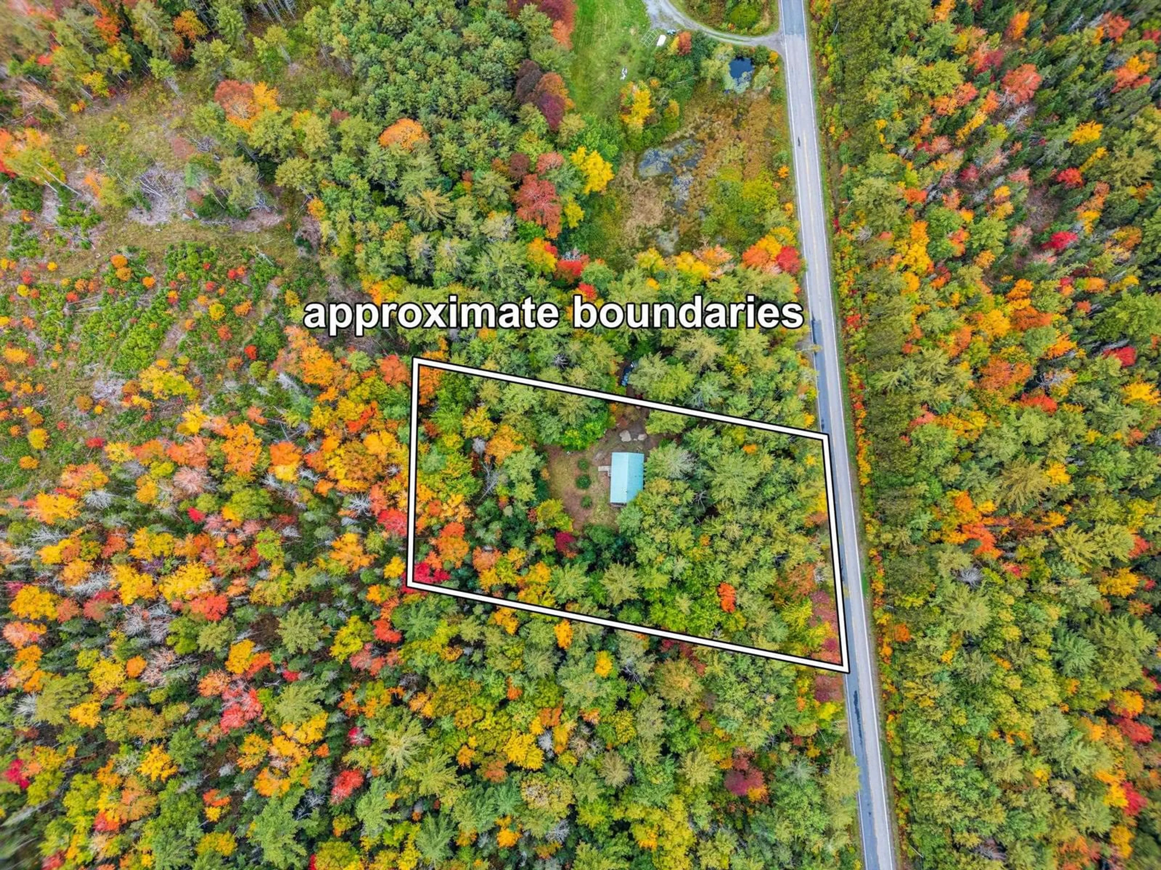 A pic from outside/outdoor area/front of a property/back of a property/a pic from drone, forest/trees view for 12361 Highway 8, Kempt Nova Scotia B0T 1B0