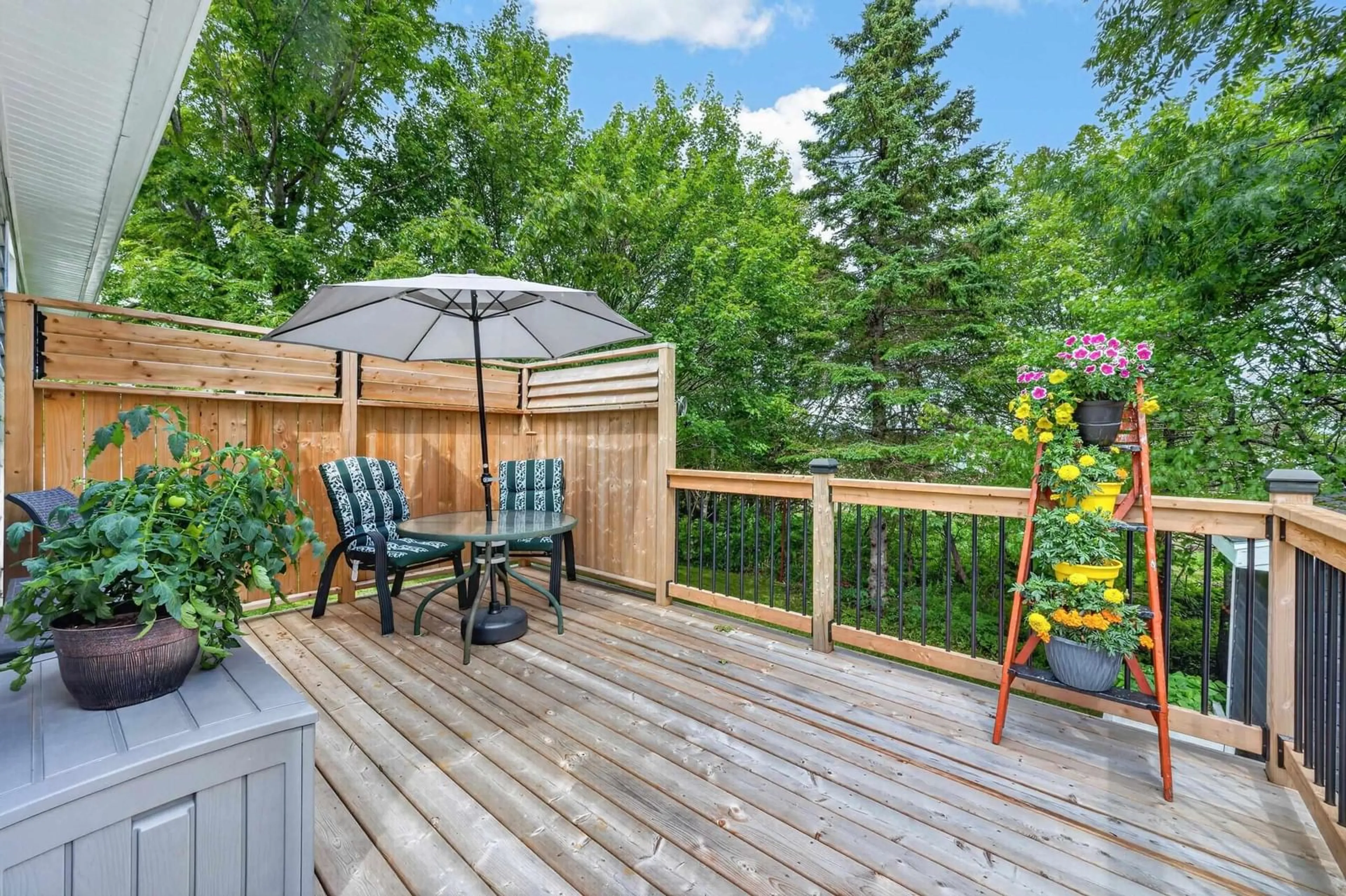 Patio, unknown for 41 Windsor Street St, Sydney Nova Scotia B1S 2K4