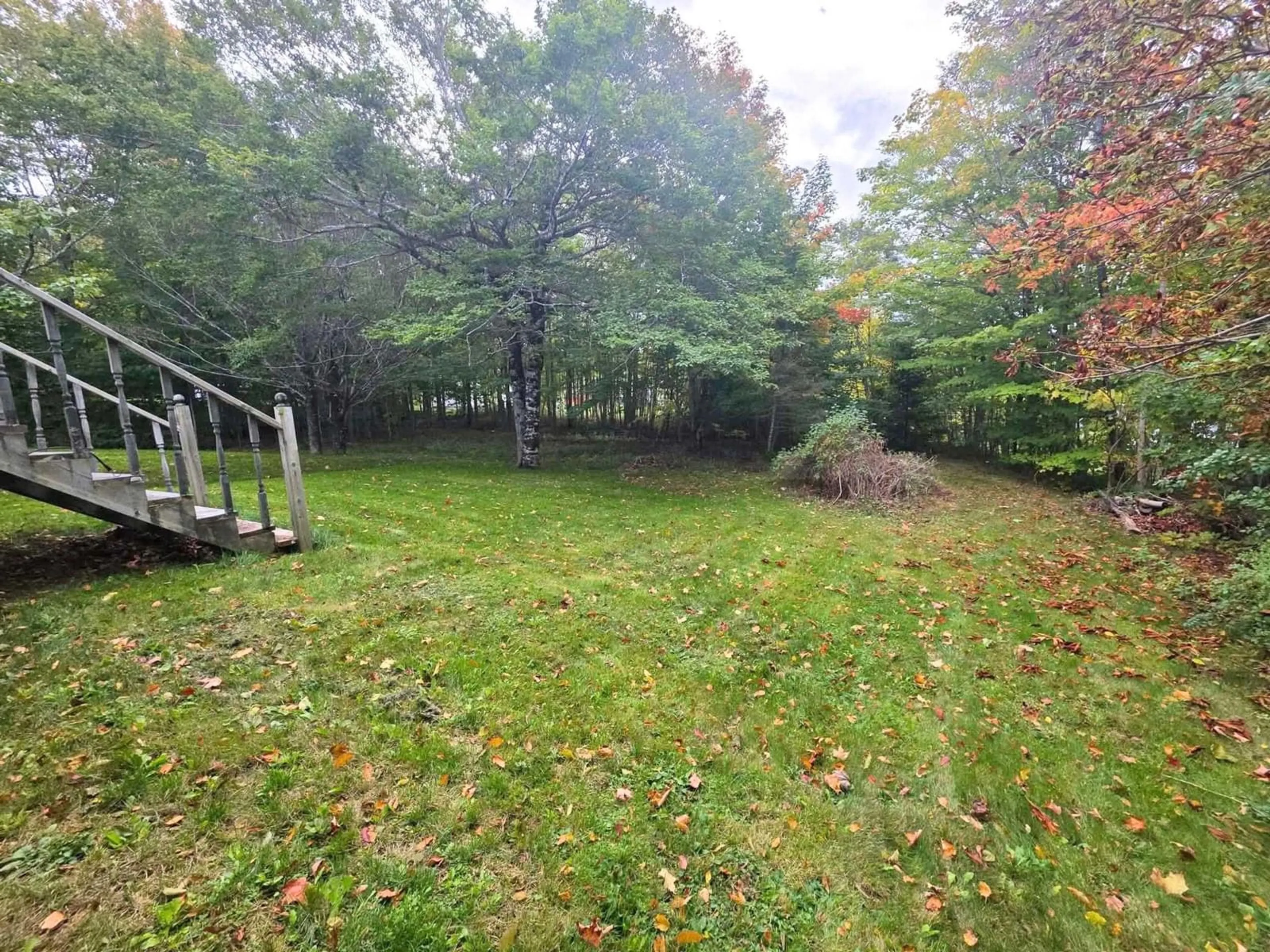 A pic from outside/outdoor area/front of a property/back of a property/a pic from drone, forest/trees view for 120 Wildwood Dr, Howie Centre Nova Scotia B1L 1G7