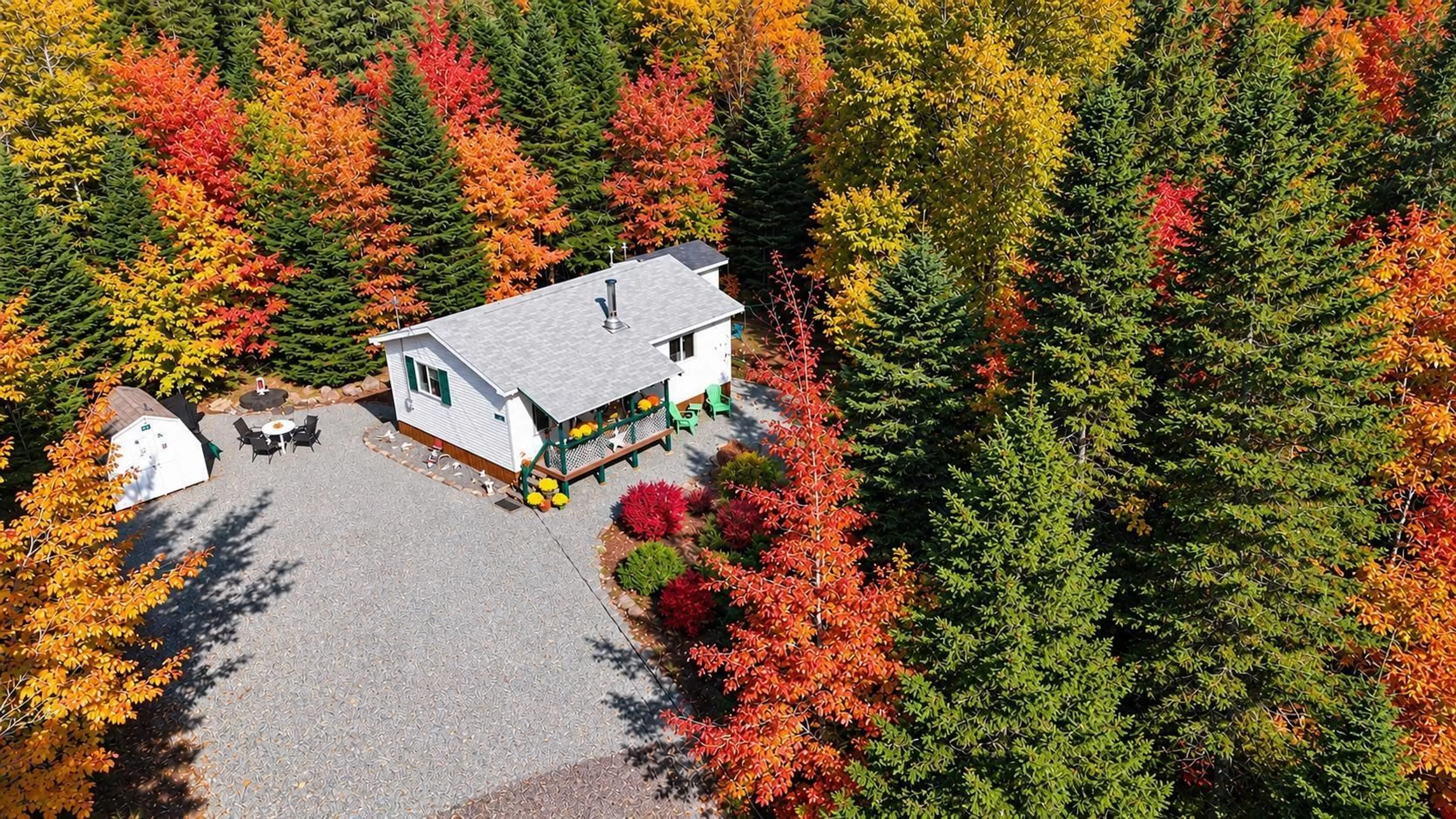 A pic from outside/outdoor area/front of a property/back of a property/a pic from drone, forest/trees view for 79 Doris Lane, Cleveland Nova Scotia B0E 1J0