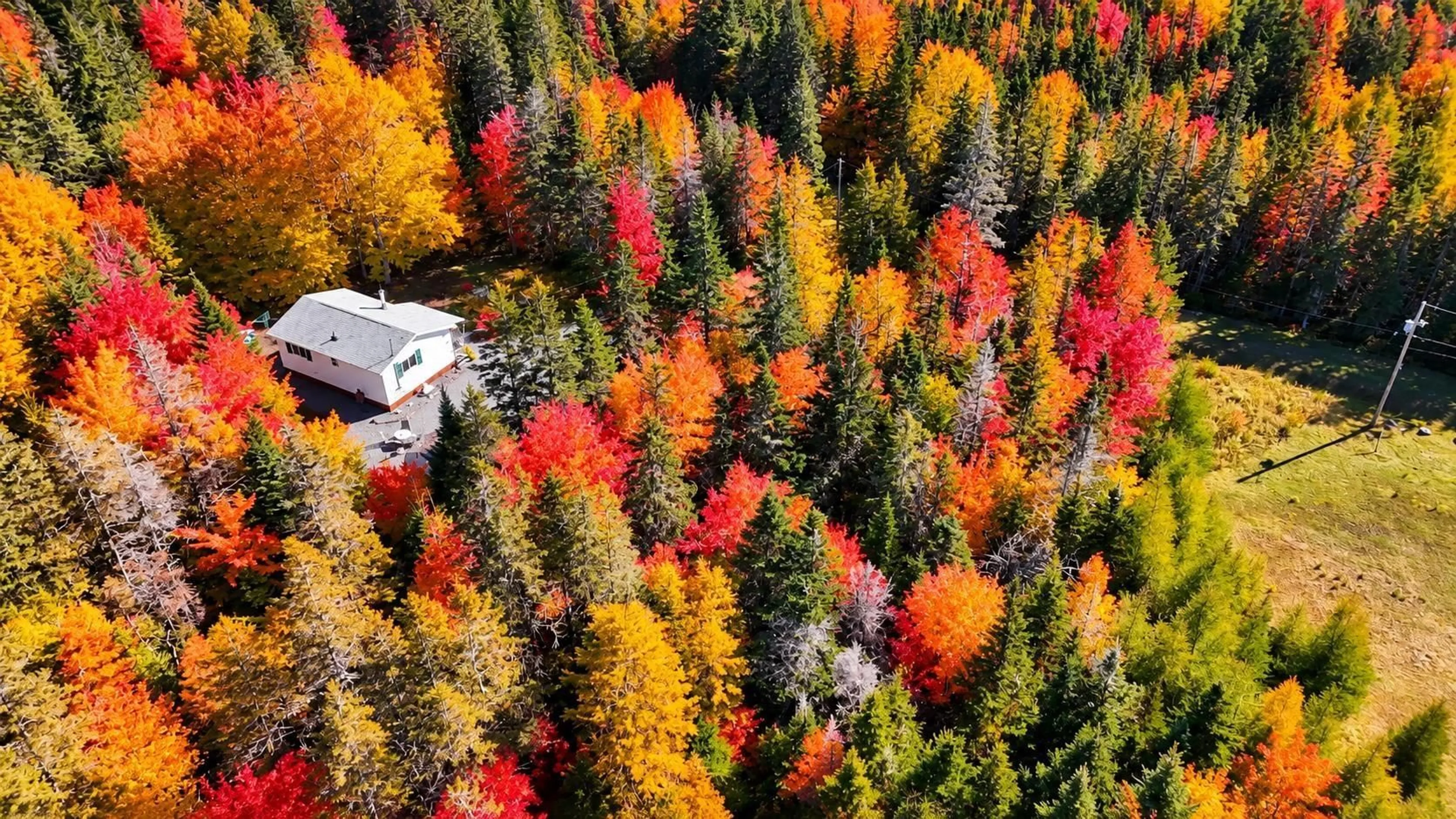 A pic from outside/outdoor area/front of a property/back of a property/a pic from drone, forest/trees view for 79 Doris Lane, Cleveland Nova Scotia B0E 1J0