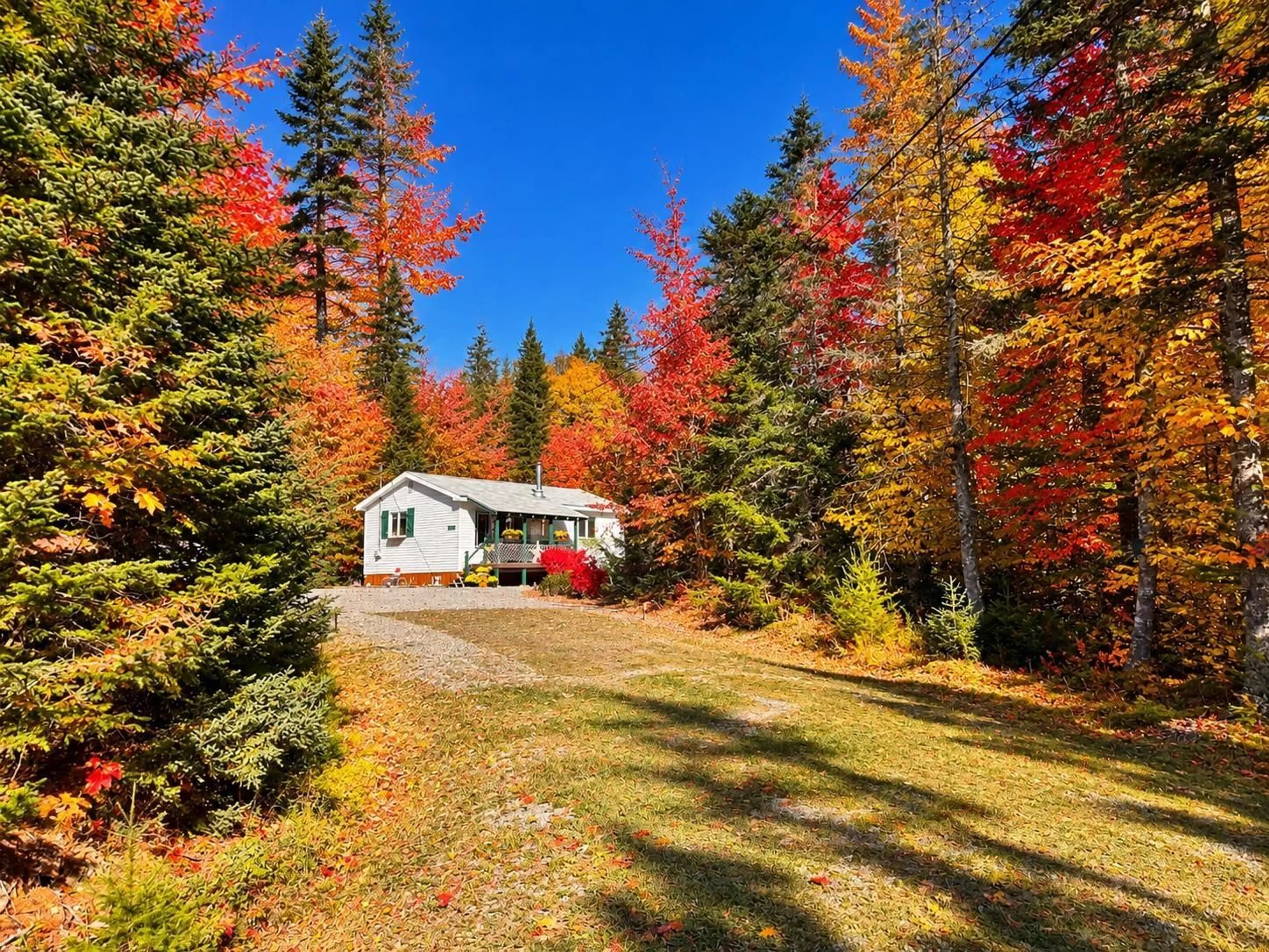 Shed for 79 Doris Lane, Cleveland Nova Scotia B0E 1J0