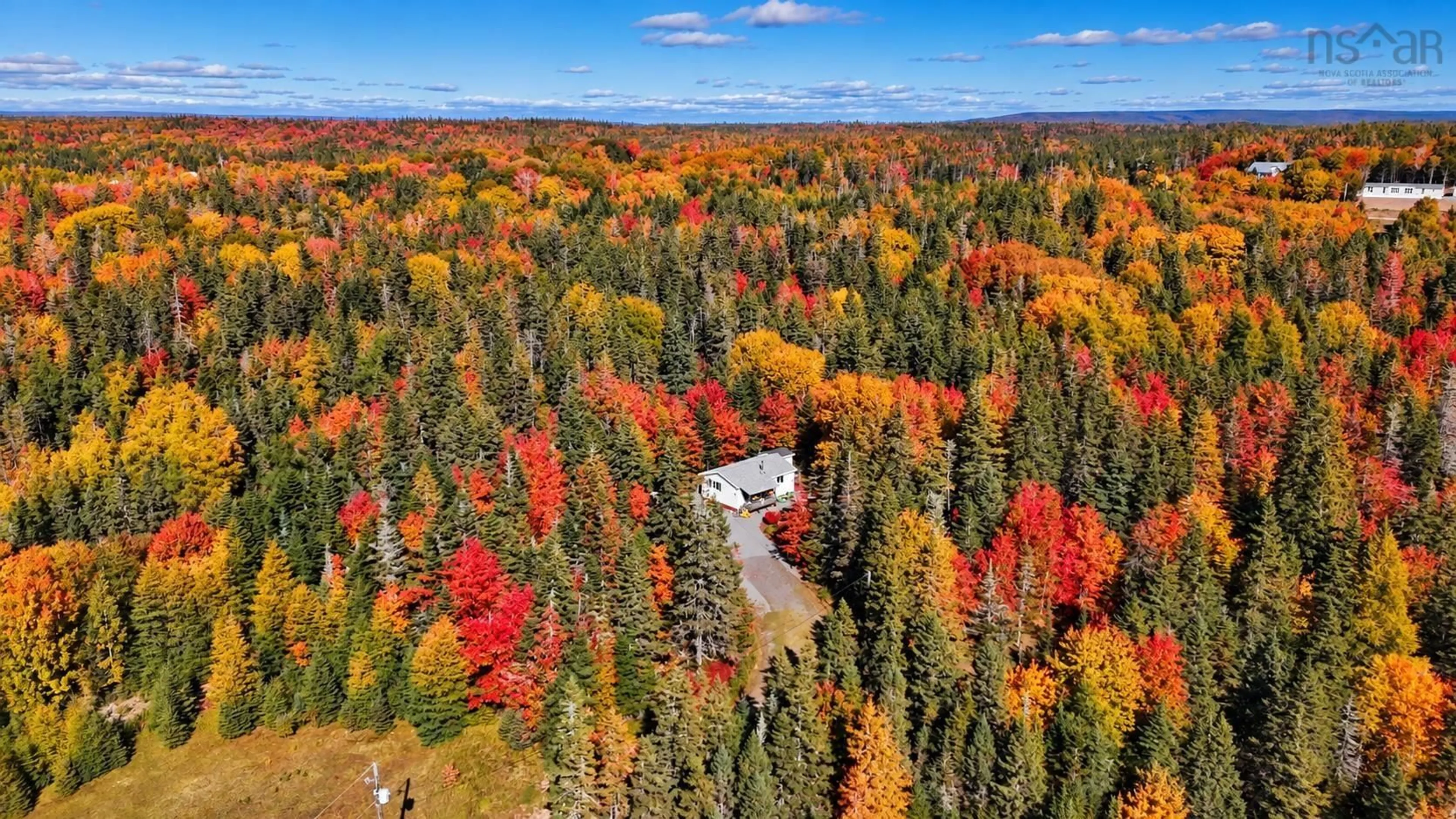 A pic from outside/outdoor area/front of a property/back of a property/a pic from drone, forest/trees view for 79 Doris Lane, Cleveland Nova Scotia B0E 1J0