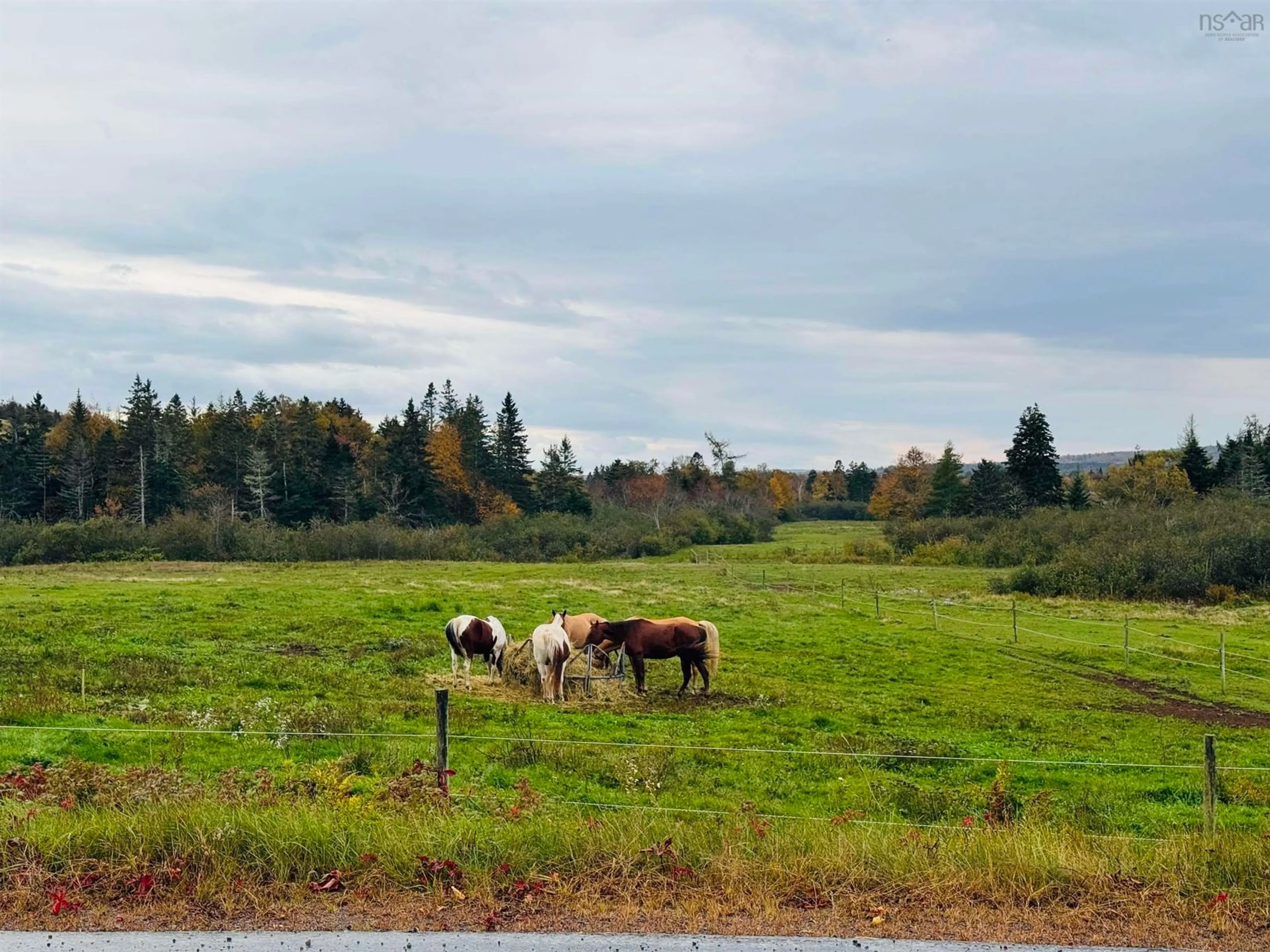 Blurry image for 489 Prospect Rd, Parrsboro Nova Scotia B0M 1S0