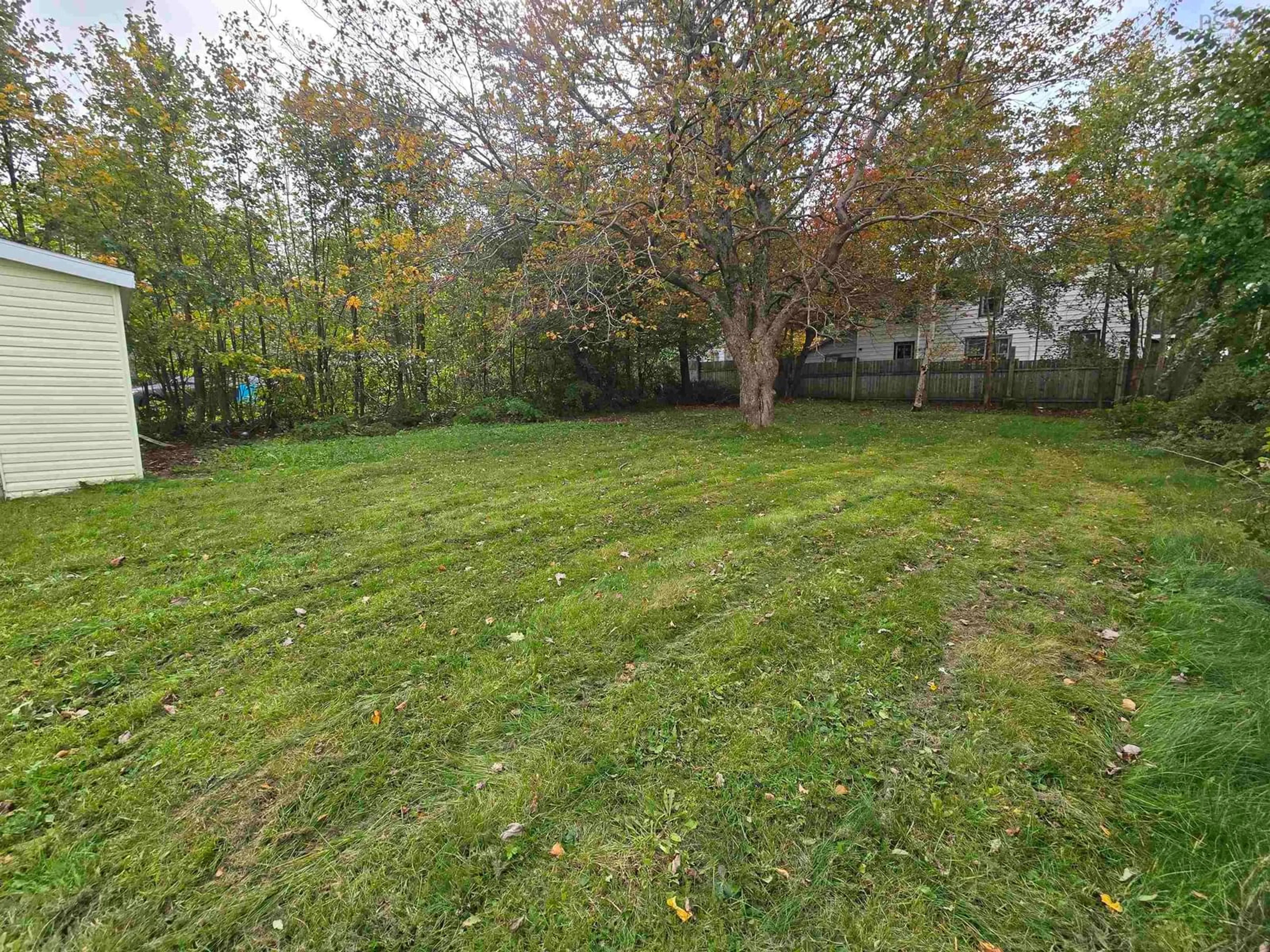 A pic from outside/outdoor area/front of a property/back of a property/a pic from drone, forest/trees view for 1038 George St, Sydney Nova Scotia B1P 1M8