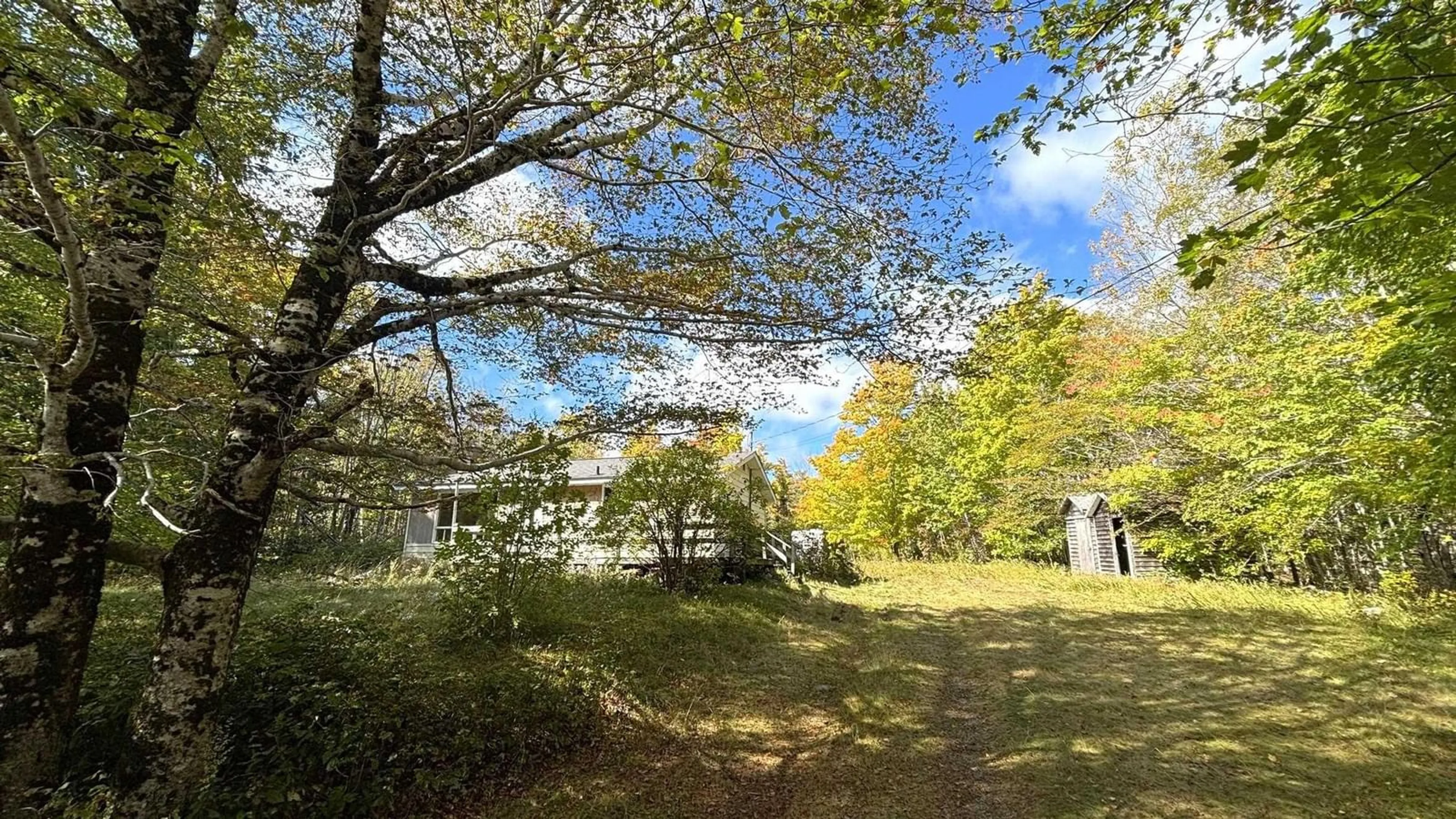 A pic from outside/outdoor area/front of a property/back of a property/a pic from drone, forest/trees view for 254 Sunken Lake Rd, Sunken Lake Nova Scotia B4P 2R2