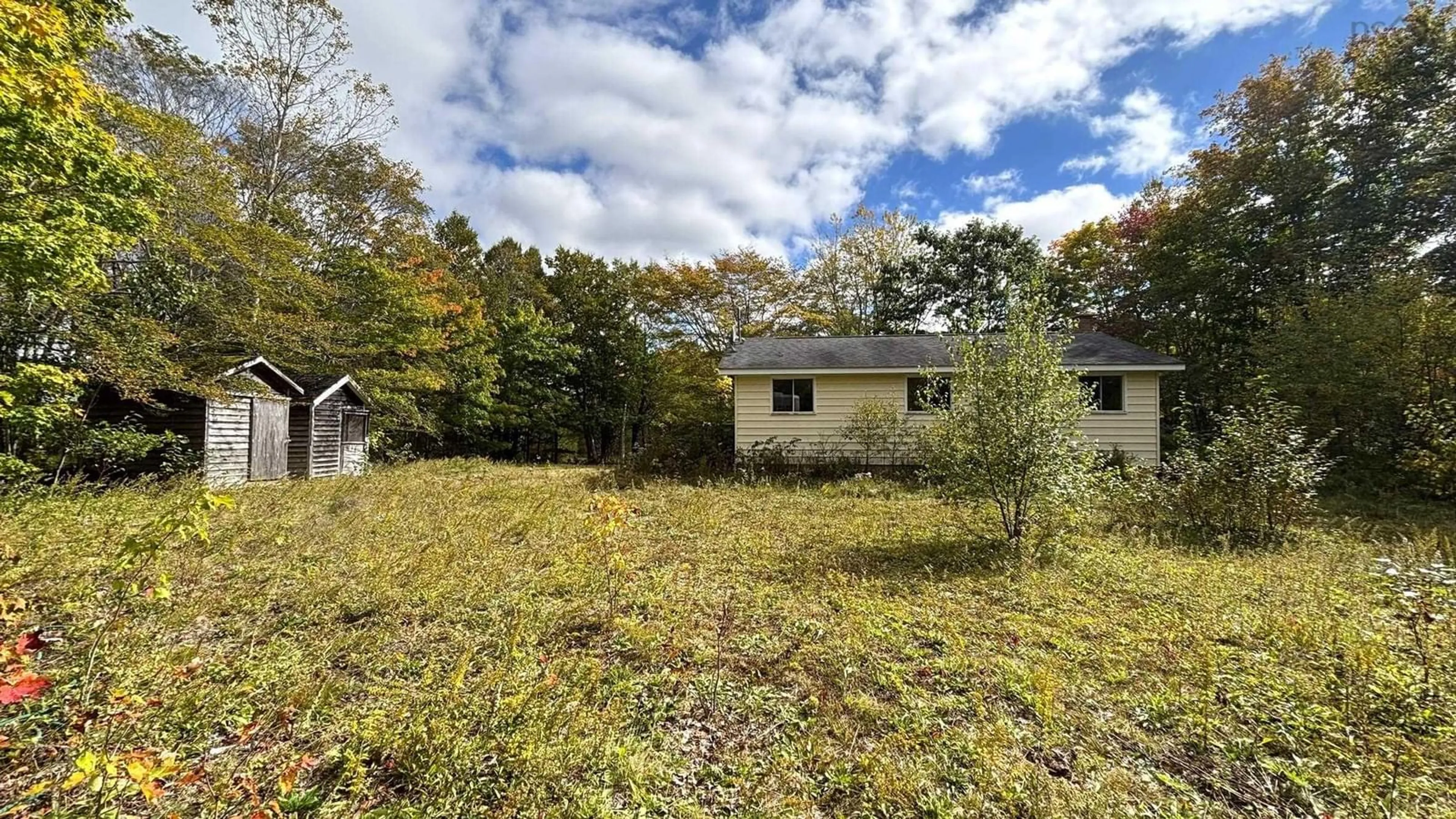 A pic from outside/outdoor area/front of a property/back of a property/a pic from drone, forest/trees view for 254 Sunken Lake Rd, Sunken Lake Nova Scotia B4P 2R2