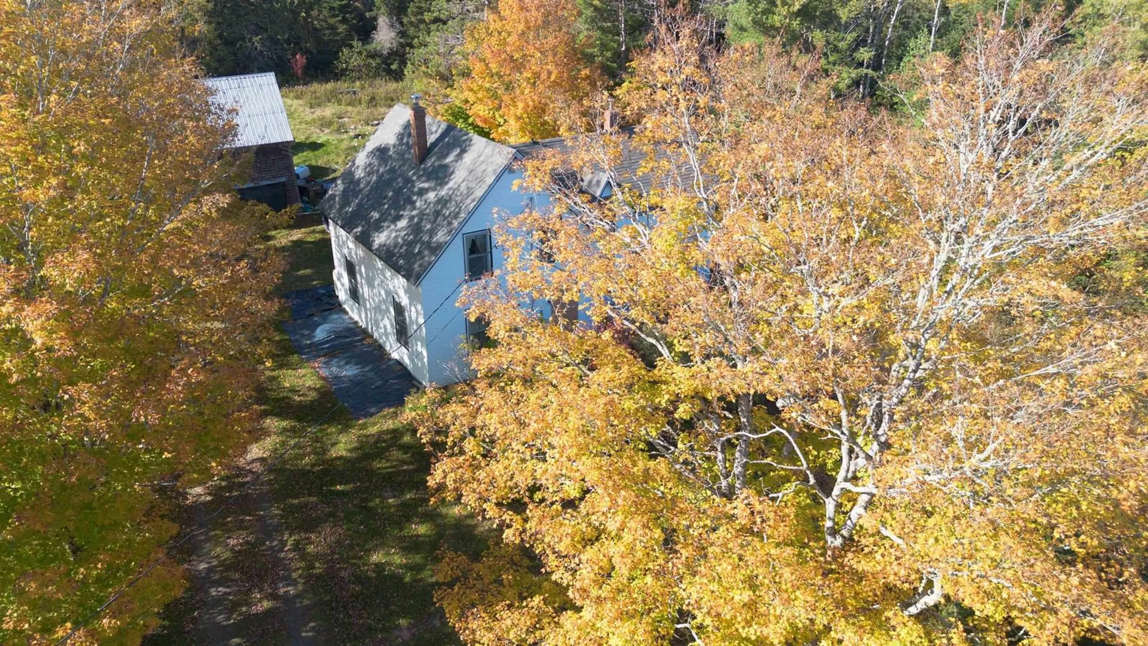 A pic from outside/outdoor area/front of a property/back of a property/a pic from drone, forest/trees view for 341 Highway 326, Earltown Nova Scotia B0K 1V0