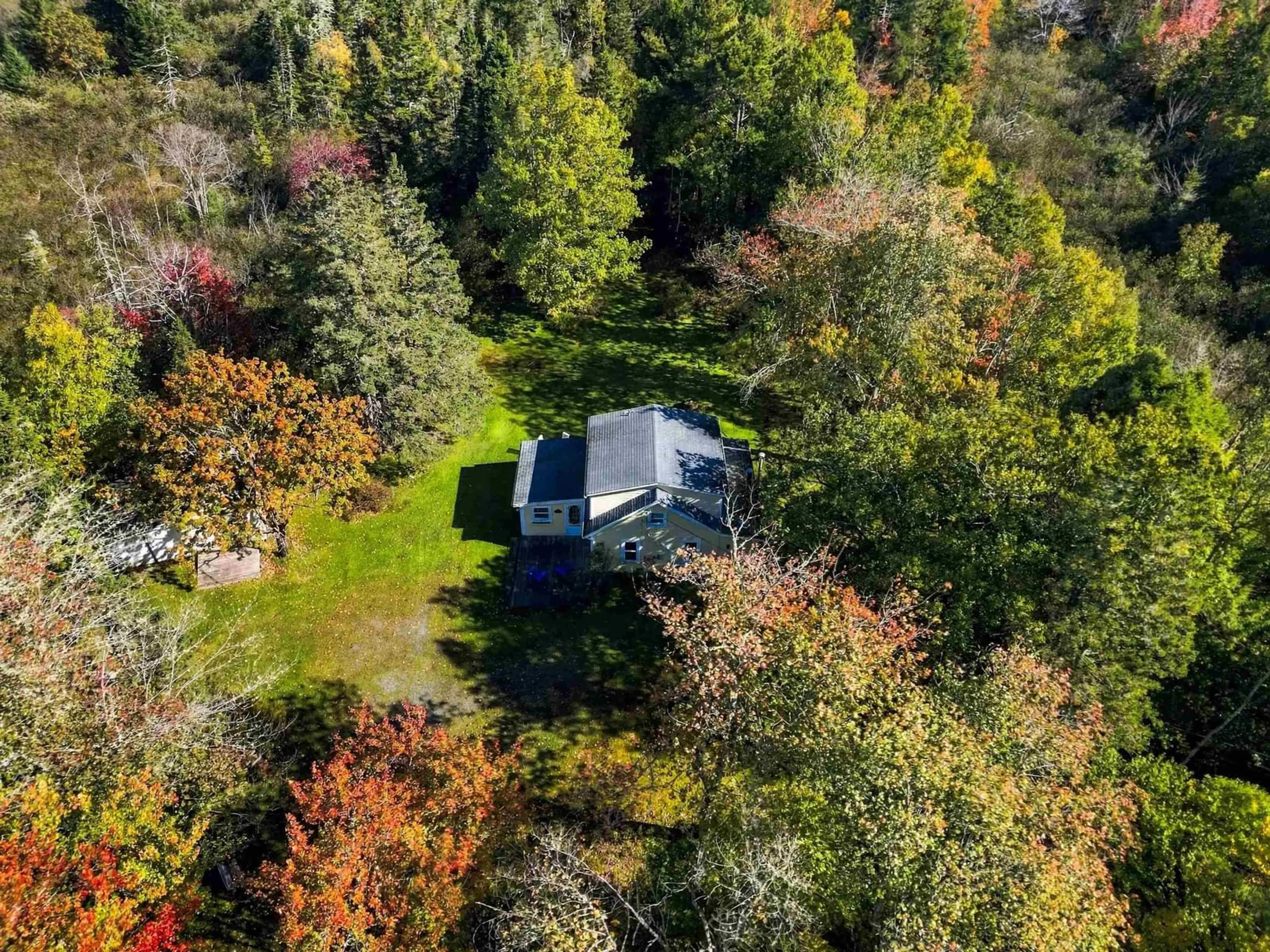 A pic from outside/outdoor area/front of a property/back of a property/a pic from drone, forest/trees view for 144 Huey Lake Rd, West Dublin Nova Scotia B0R 1C0