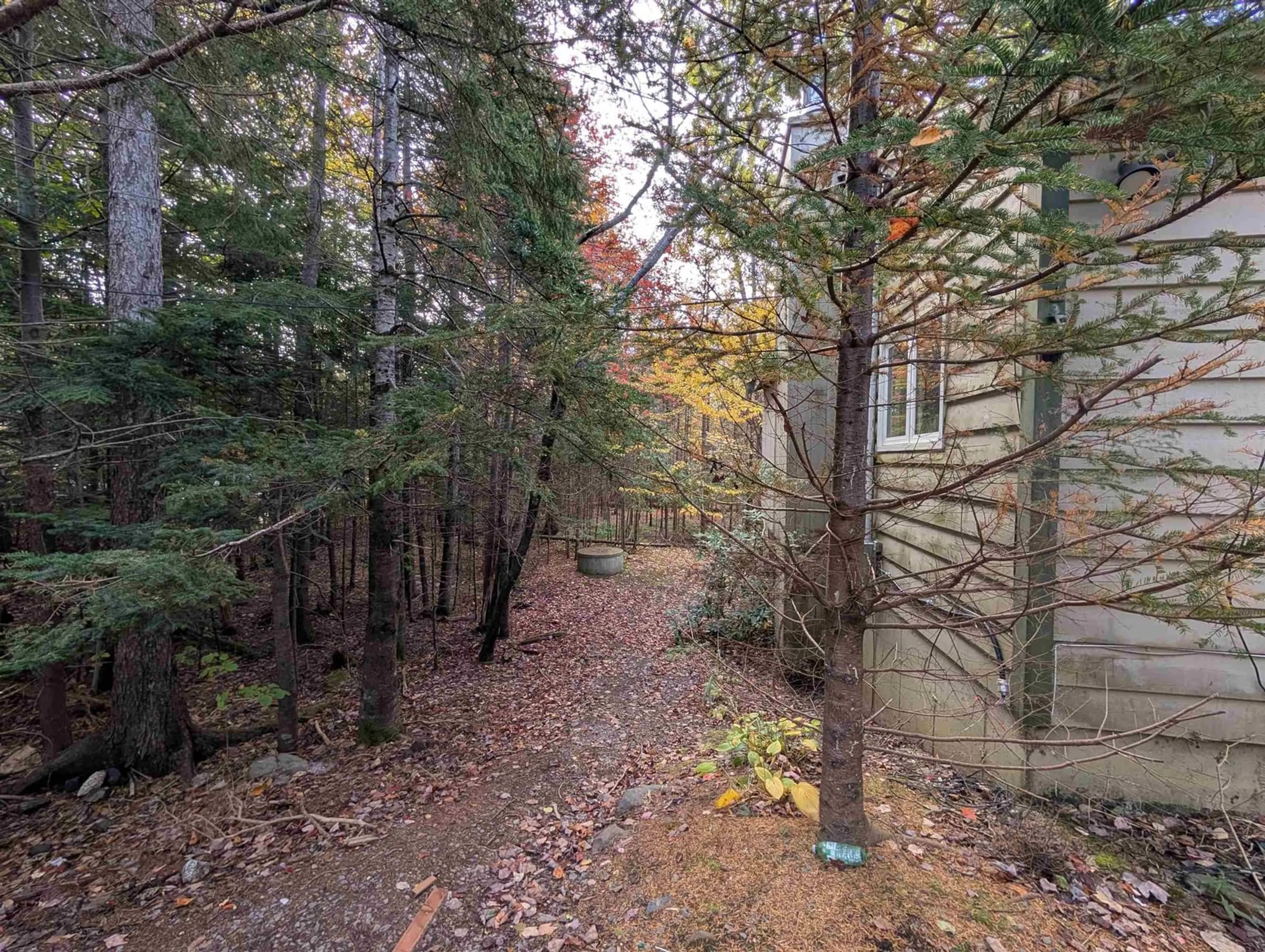 A pic from outside/outdoor area/front of a property/back of a property/a pic from drone, forest/trees view for 19 Foster Ave, Fall River Nova Scotia B2T 1E7