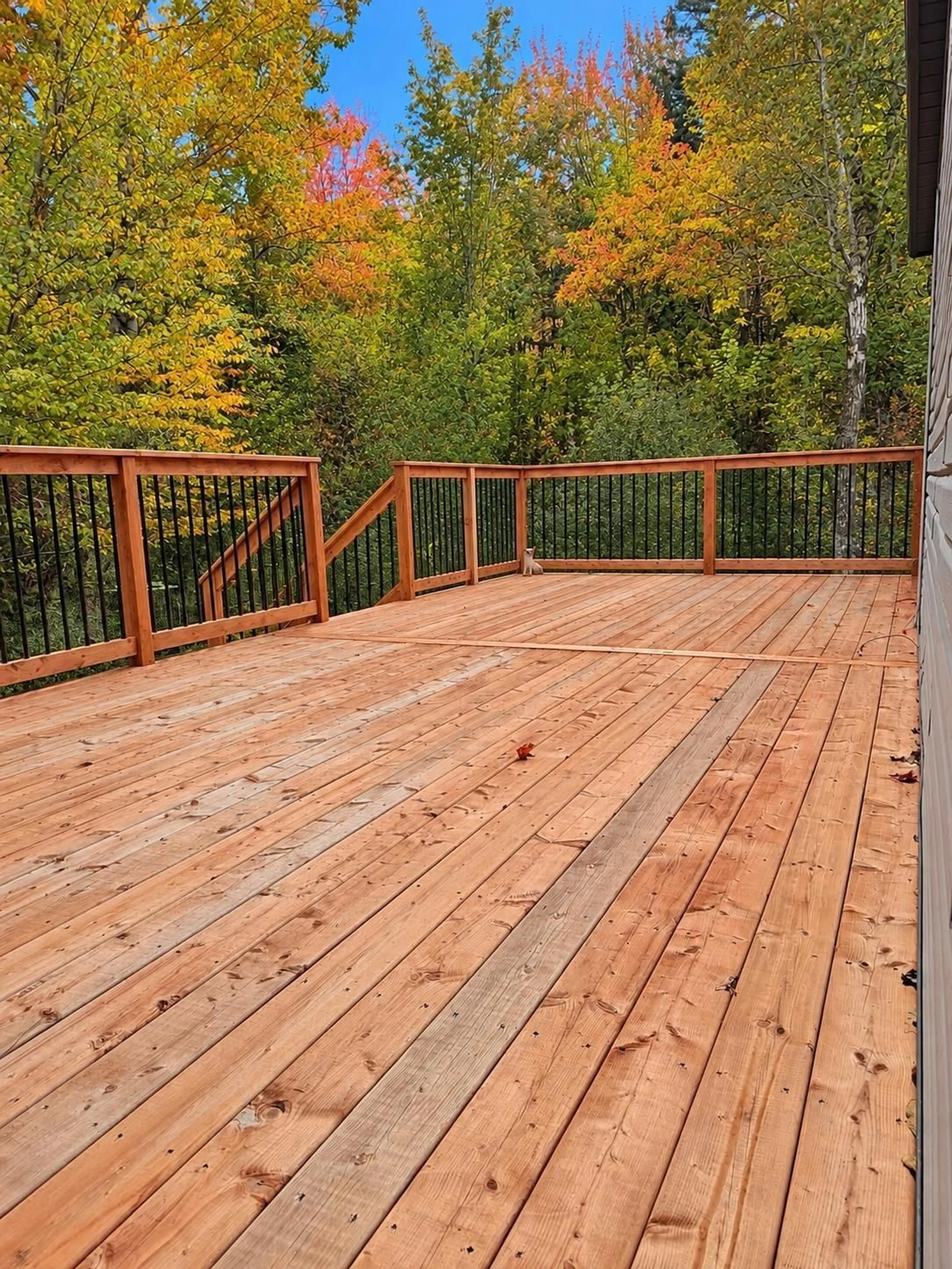 Patio, forest/trees view for 334 Bayswater Dr, Cheverie Nova Scotia B0N 1G0
