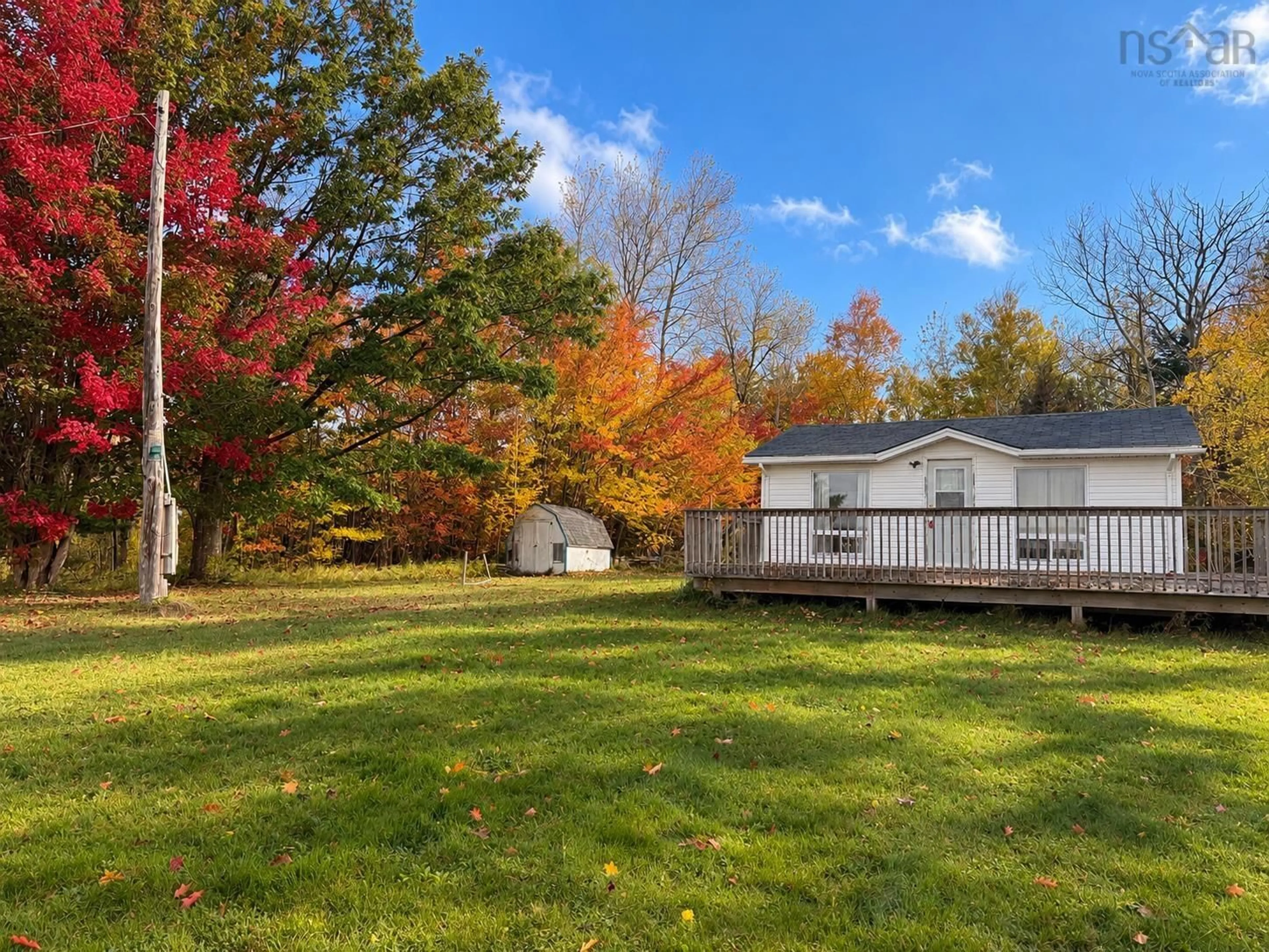 A pic from outside/outdoor area/front of a property/back of a property/a pic from drone, forest/trees view for 3457 Malagash Rd, Malagash Centre Nova Scotia B0K 1E0
