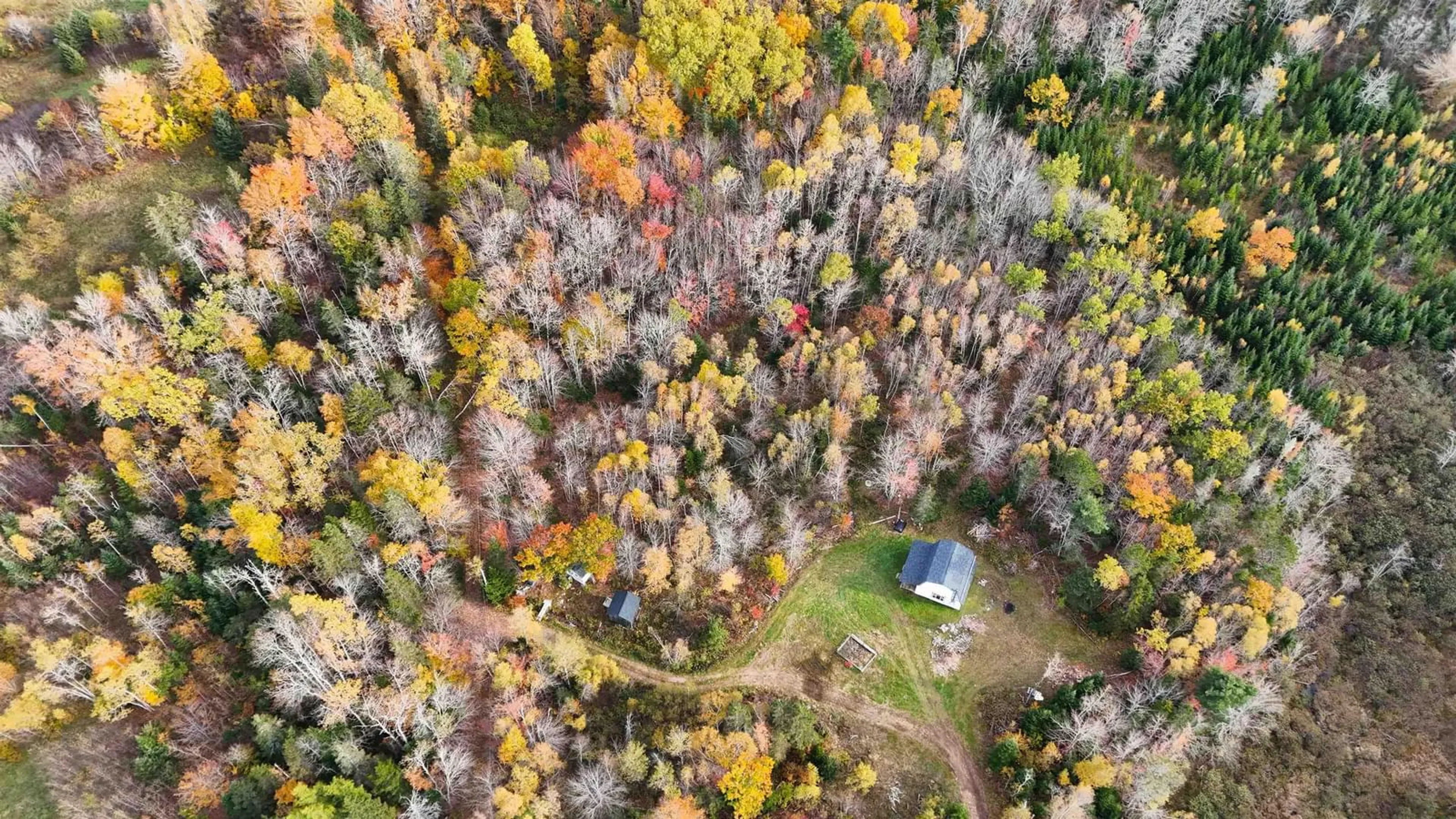 A pic from outside/outdoor area/front of a property/back of a property/a pic from drone, forest/trees view for Mill Rd, Mill Road Nova Scotia B0J 2M0