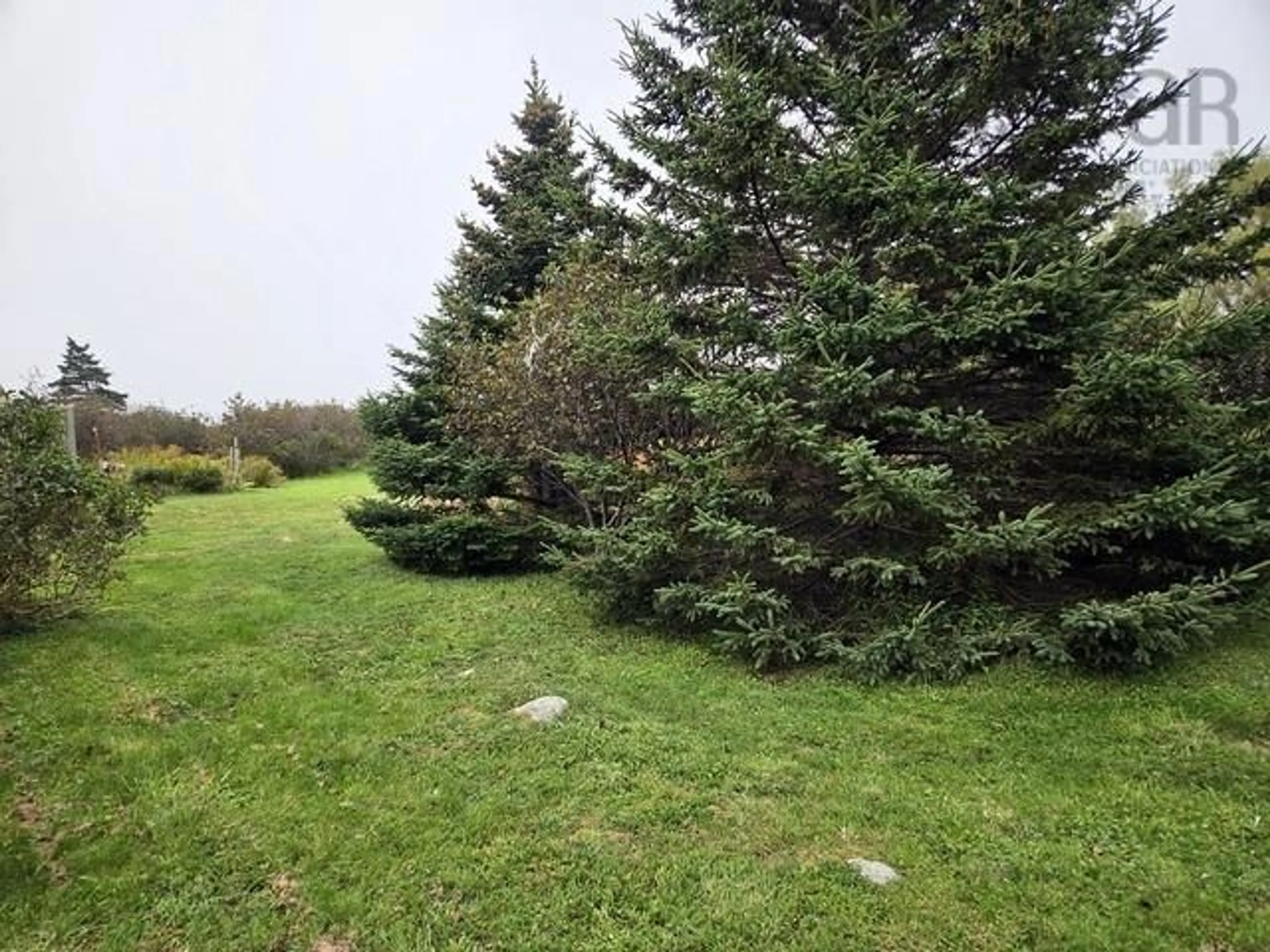 A pic from outside/outdoor area/front of a property/back of a property/a pic from drone, forest/trees view for 14 Boundry St, Clark's Harbour Nova Scotia B0W 1P0