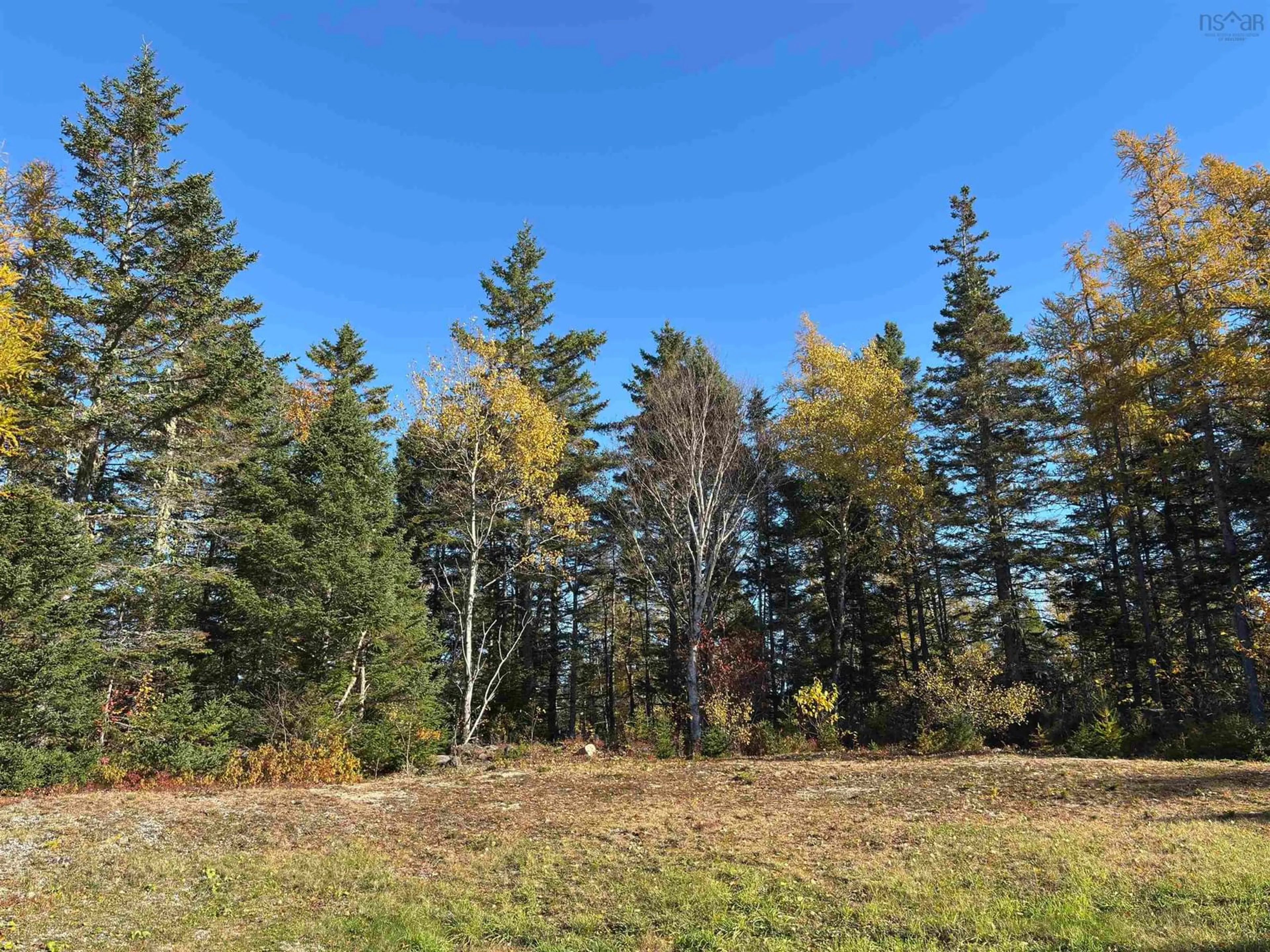 A pic from outside/outdoor area/front of a property/back of a property/a pic from drone, forest/trees view for 1619 Gabarus Hwy, Sydney Nova Scotia B1L 1E8