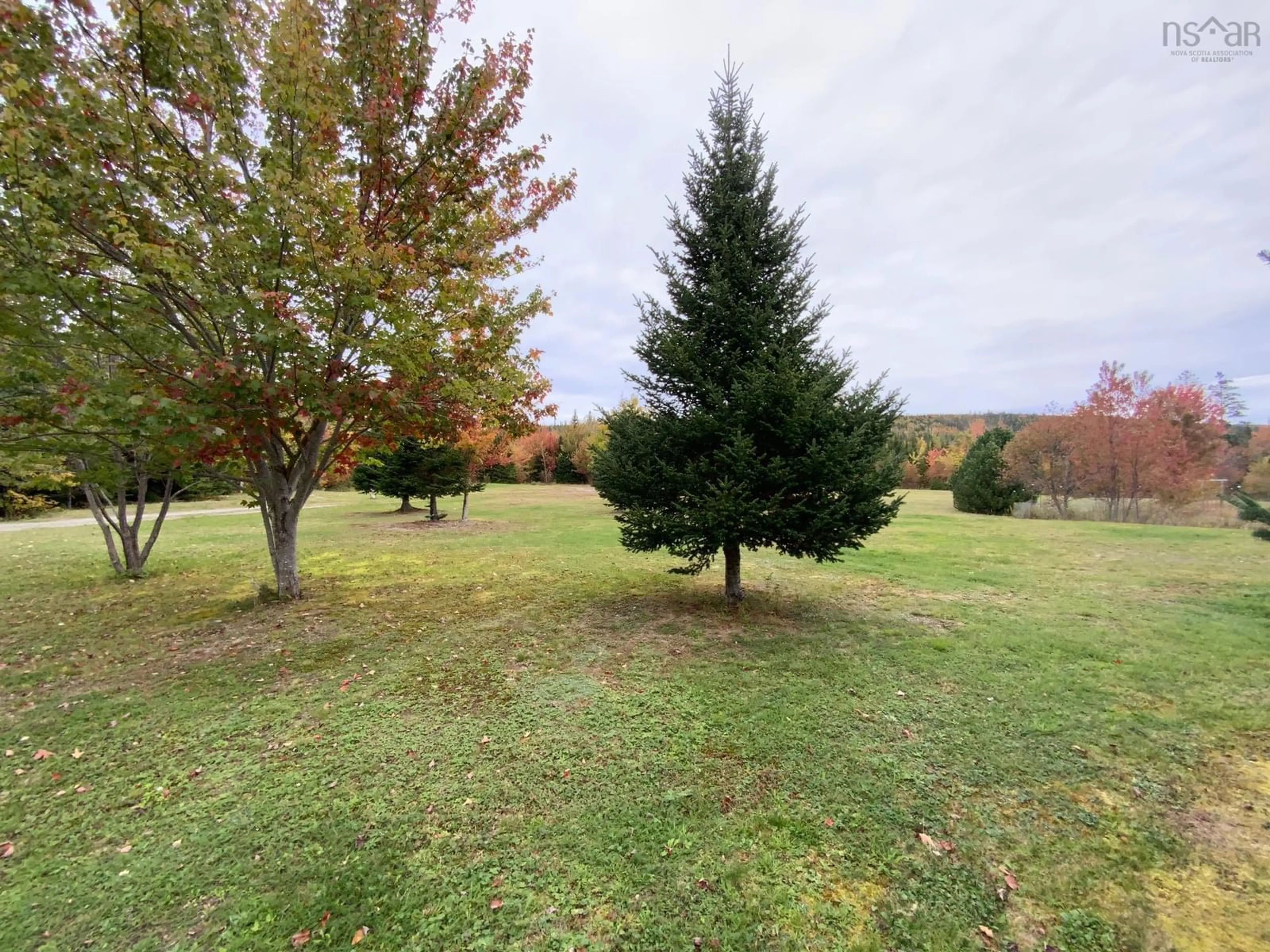 A pic from outside/outdoor area/front of a property/back of a property/a pic from drone, forest/trees view for 808 North Riverside Road, North Riverside Nova Scotia B0H 1G0