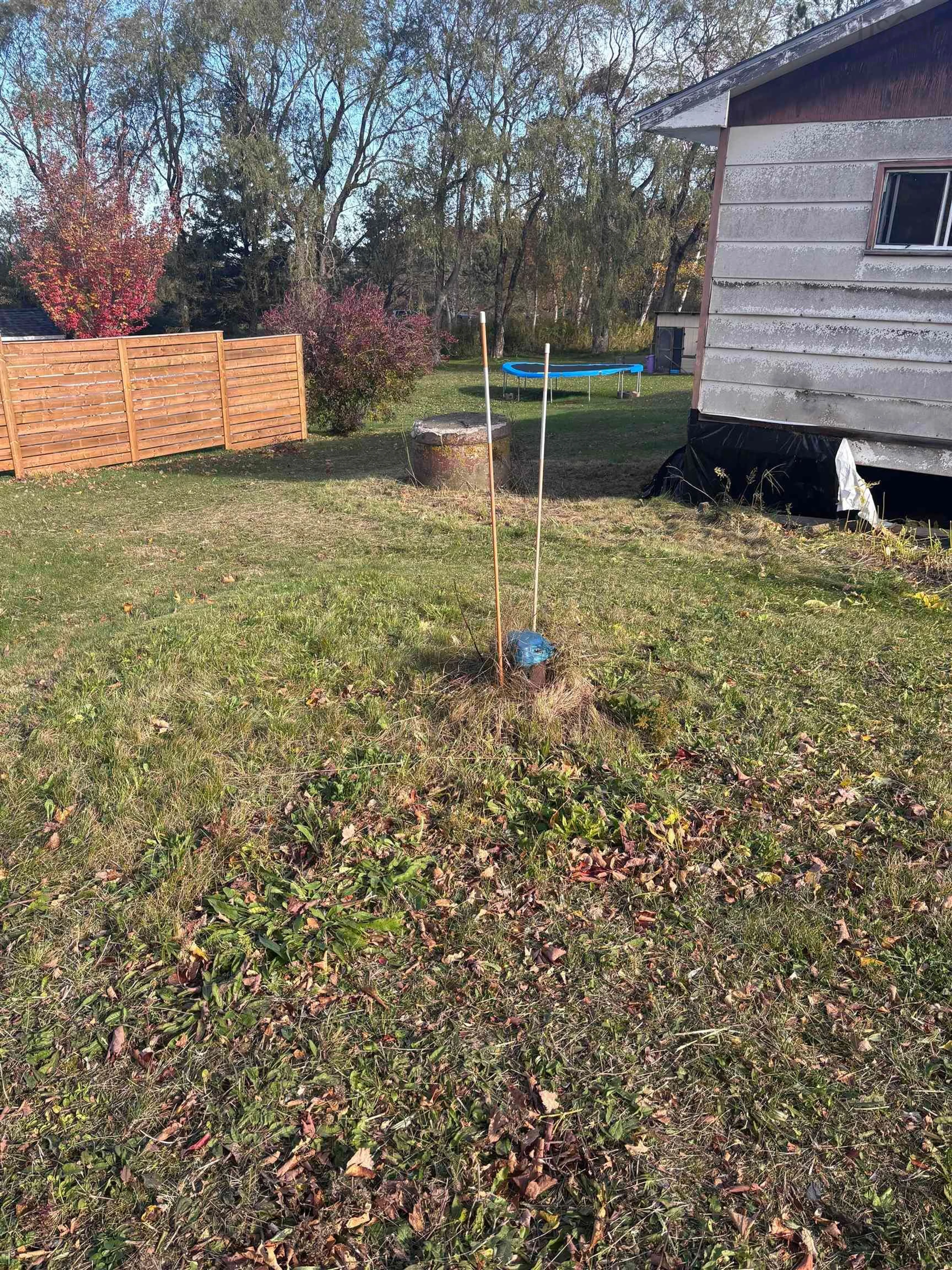 A pic from outside/outdoor area/front of a property/back of a property/a pic from drone, forest/trees view for 4532 Black Rock Rd, Black Rock Nova Scotia B0P 1V0