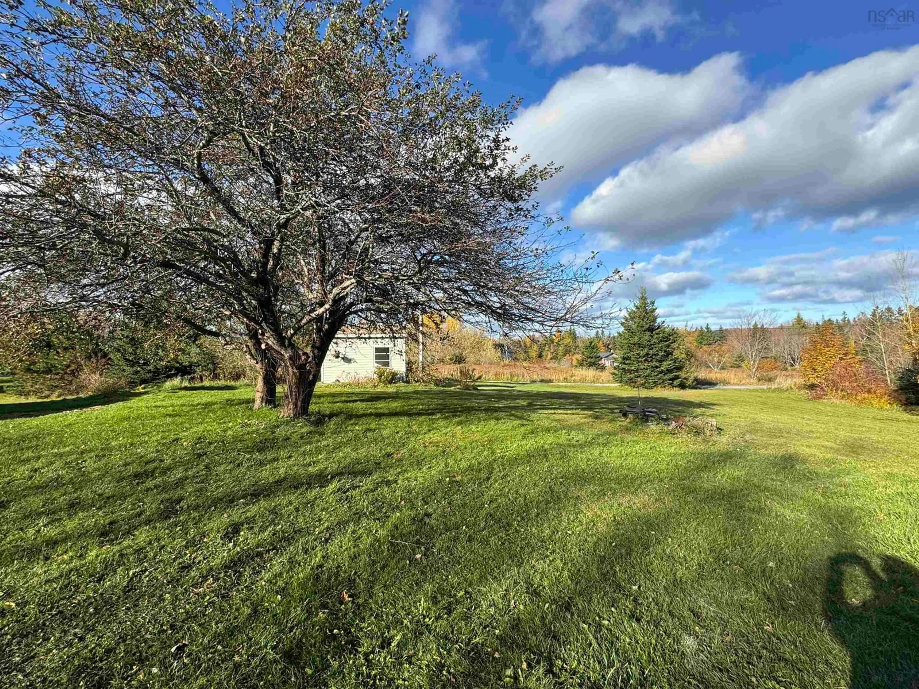 A pic from outside/outdoor area/front of a property/back of a property/a pic from drone, forest/trees view for 42 King Grove Rd, Millville Nova Scotia B1Y 2E3