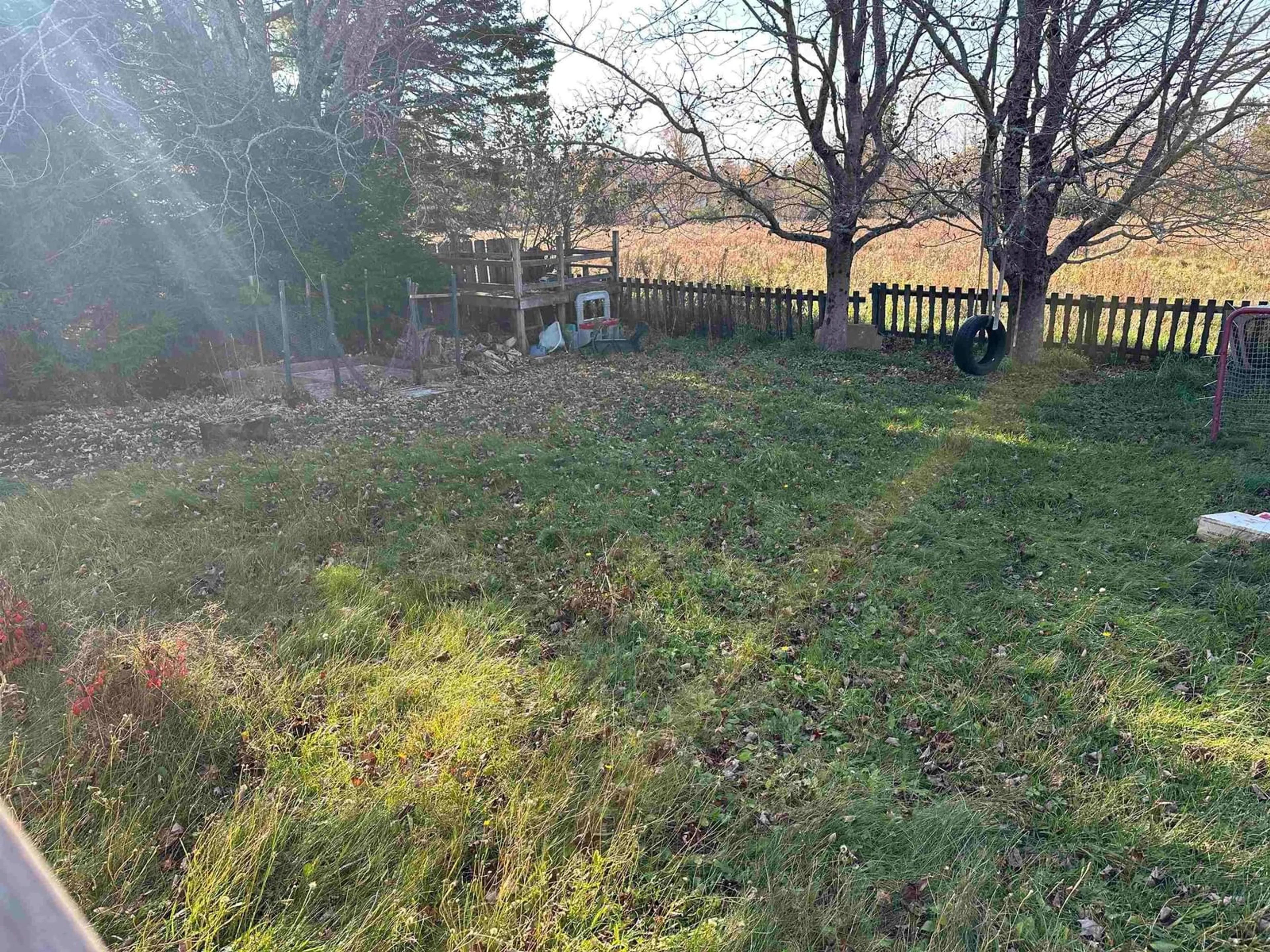 A pic from outside/outdoor area/front of a property/back of a property/a pic from drone, forest/trees view for 8 Beverly Ave, Salmon River Nova Scotia B2N 4Y6