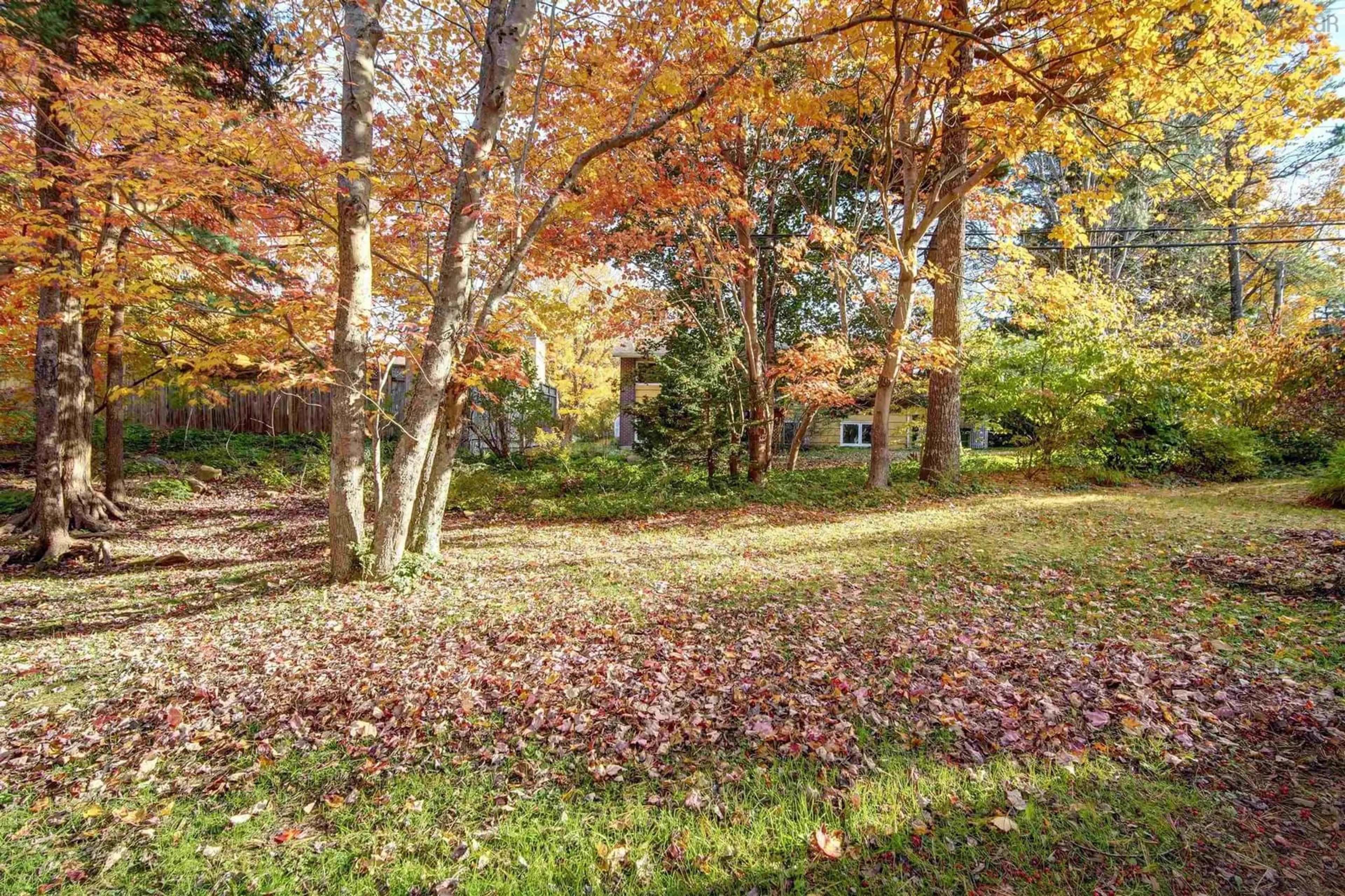 A pic from outside/outdoor area/front of a property/back of a property/a pic from drone, forest/trees view for 46 Hanover Crt, Halifax Nova Scotia B3M 3K6