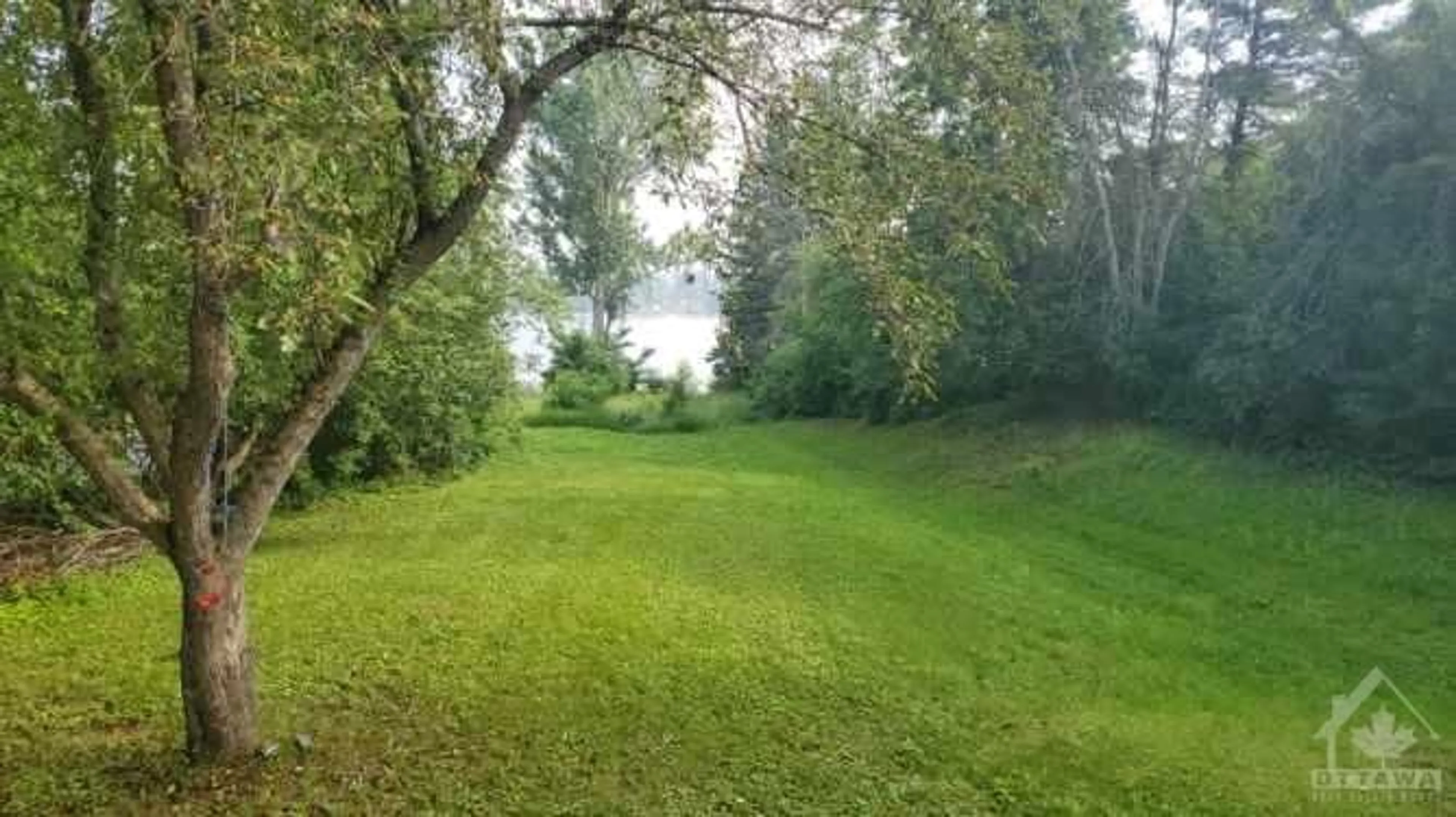 Forest view for 106 COUNTY RD 9 Rd, Plantagenet Ontario K7R 3K8