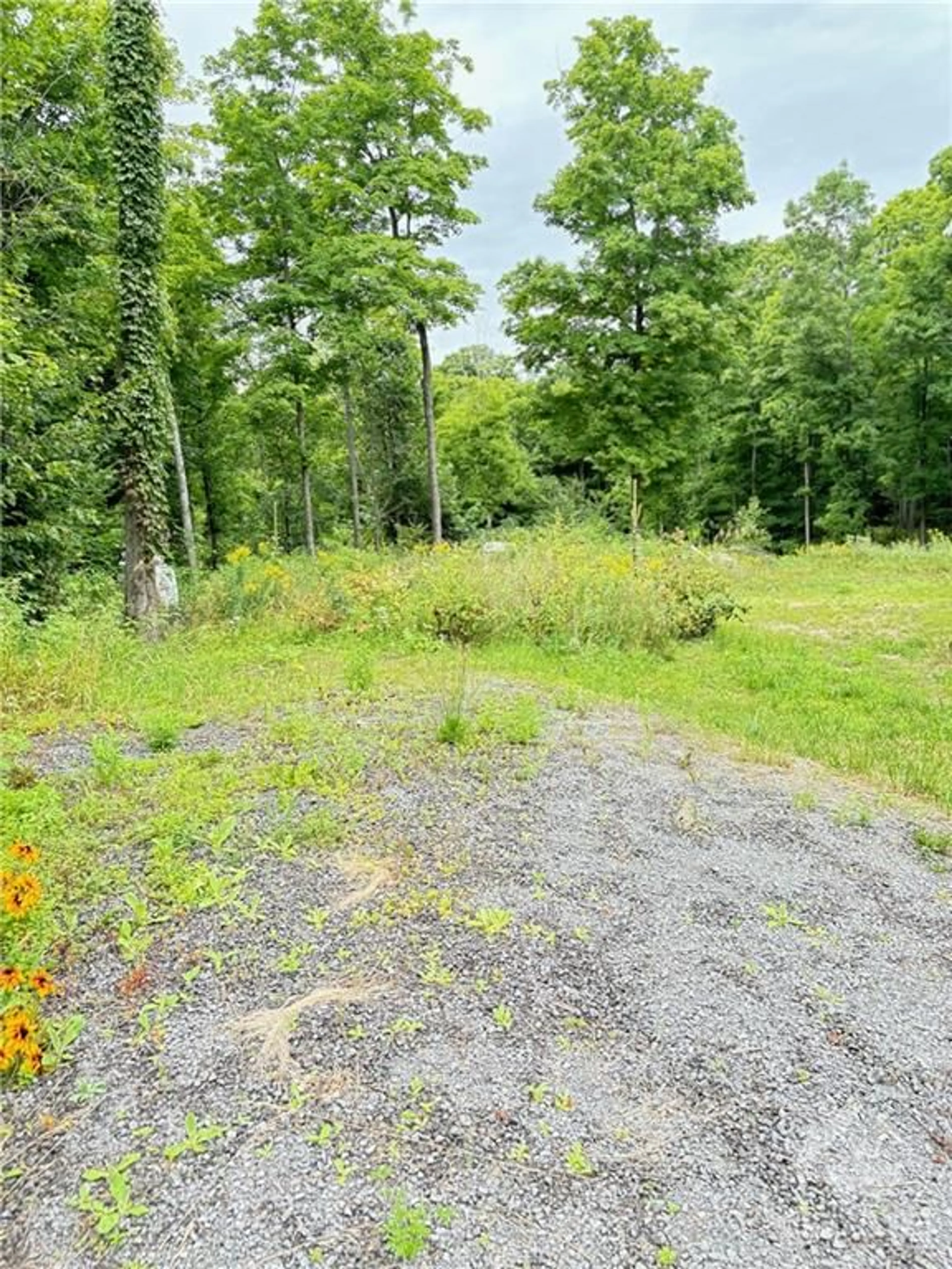 Shed for 2797 BELLAMY Rd, White Lake Ontario K0A 3L0