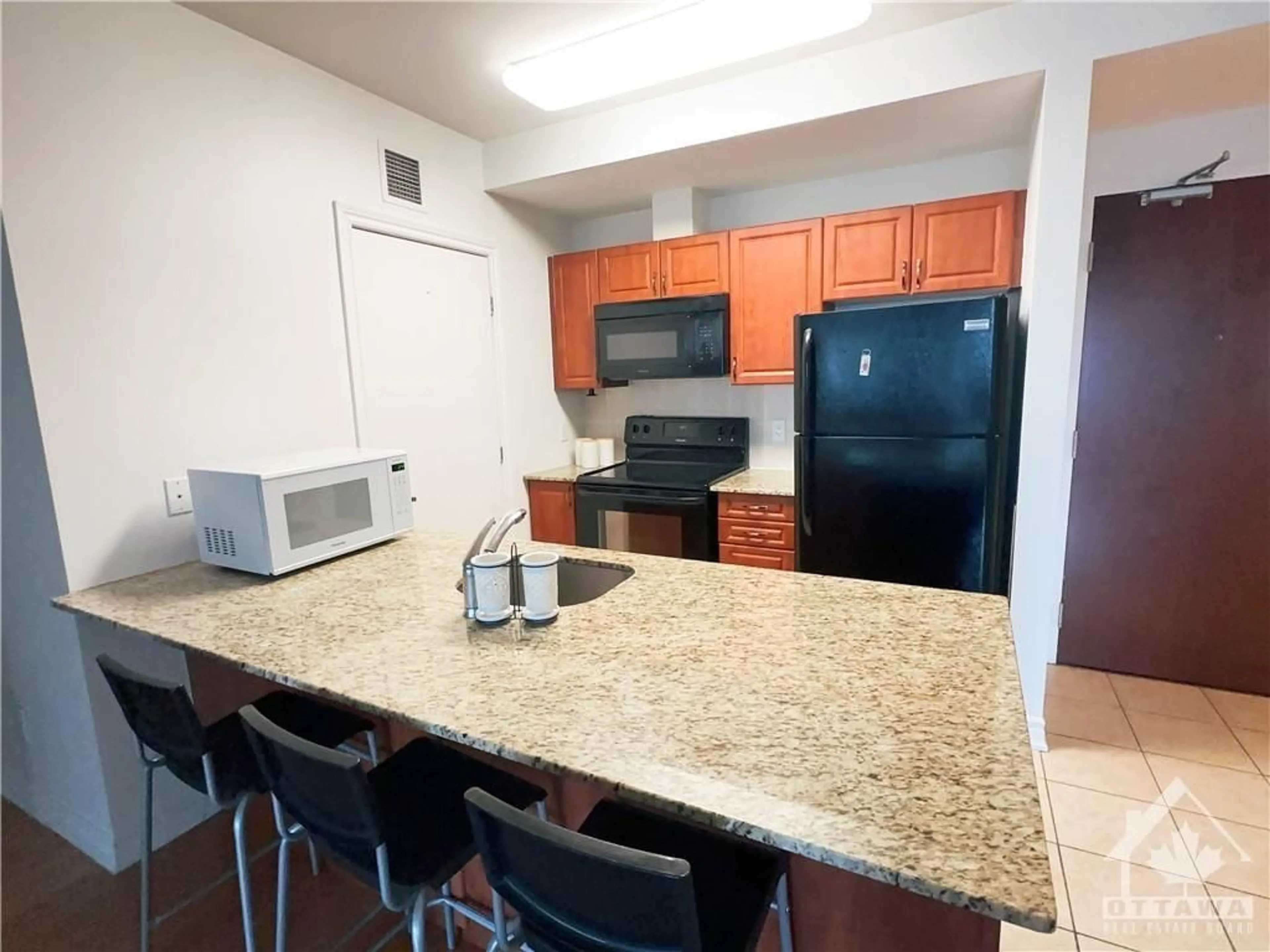 Standard kitchen for 234 RIDEAU St #1506, Ottawa Ontario K1N 0A9