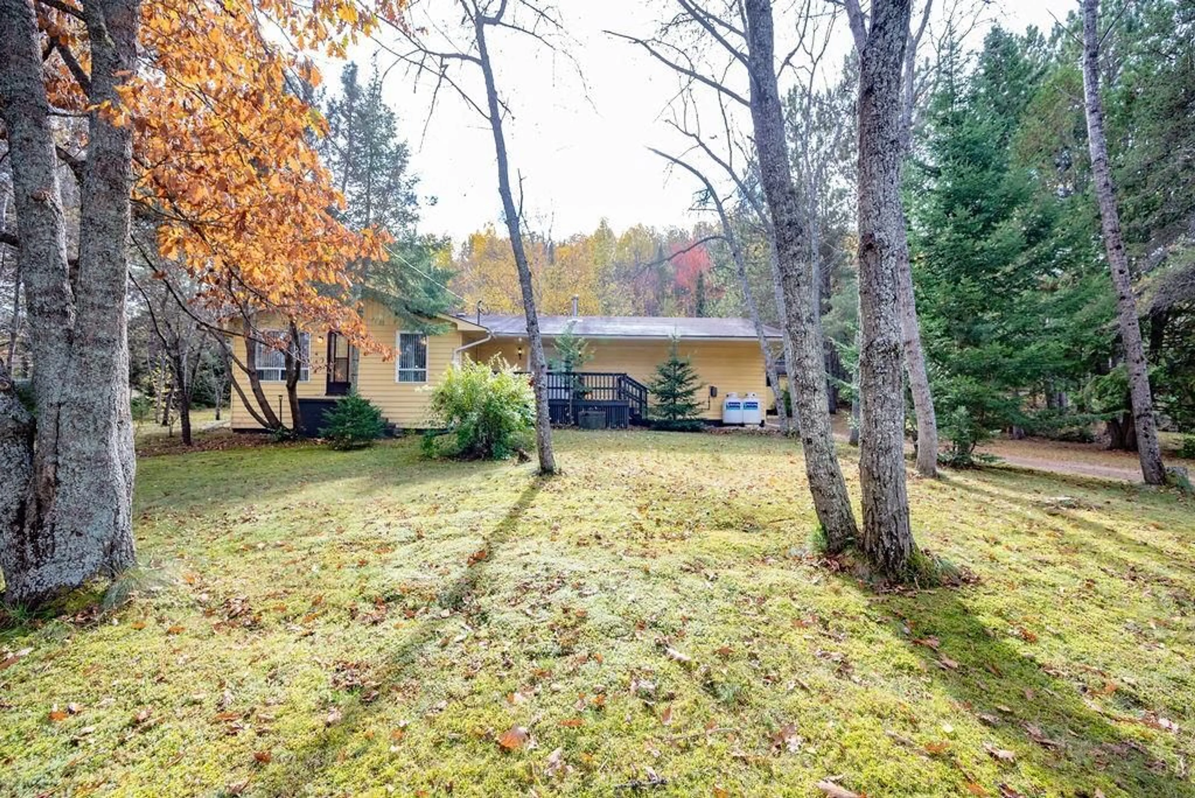 Patio, cottage for 4 MURCHISON Rd, Madawaska Ontario K0J 2C0