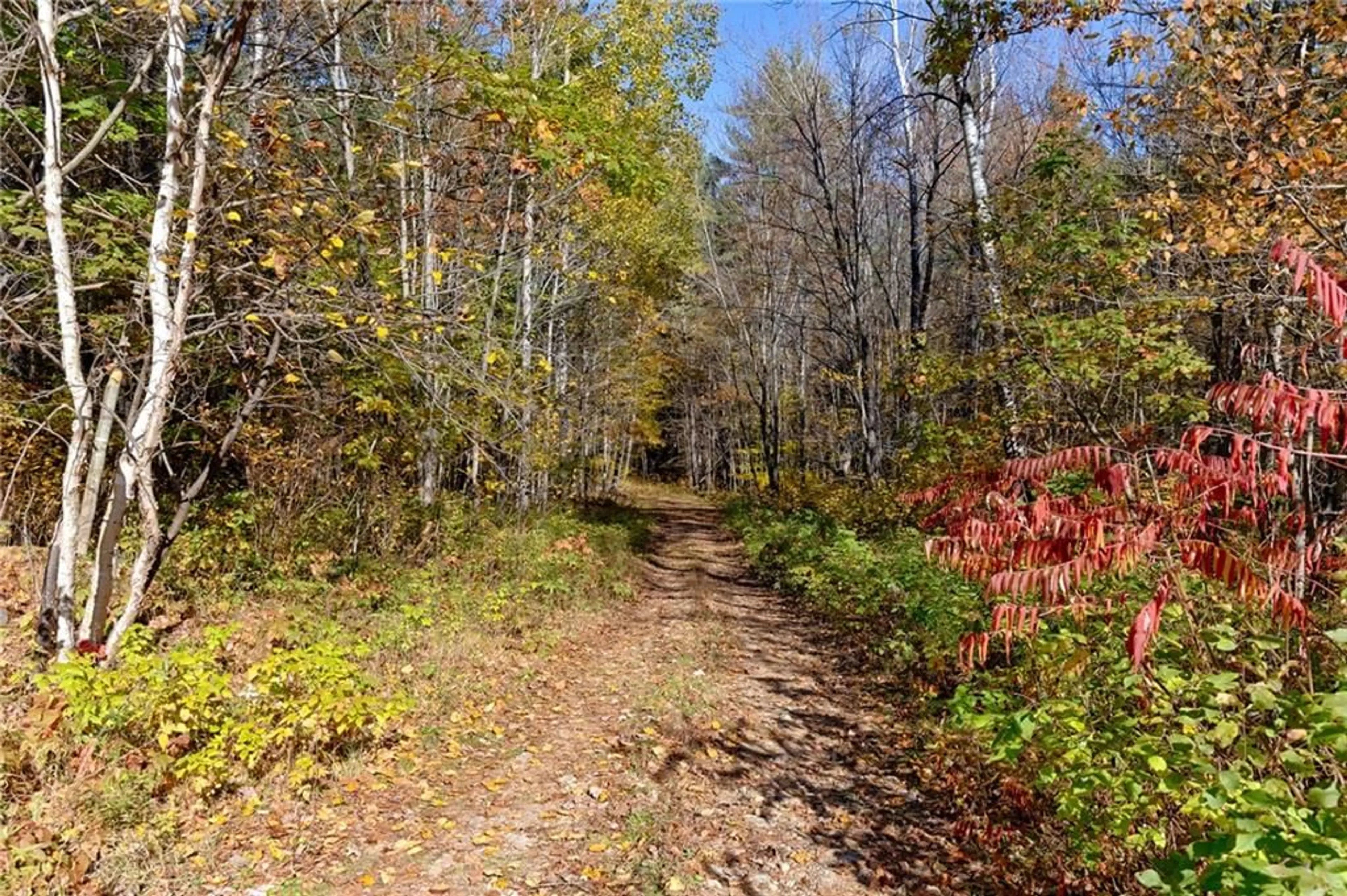 Patio, forest for 1751 DIVISION Rd, Round Lake Centre Ontario K0J 2J0