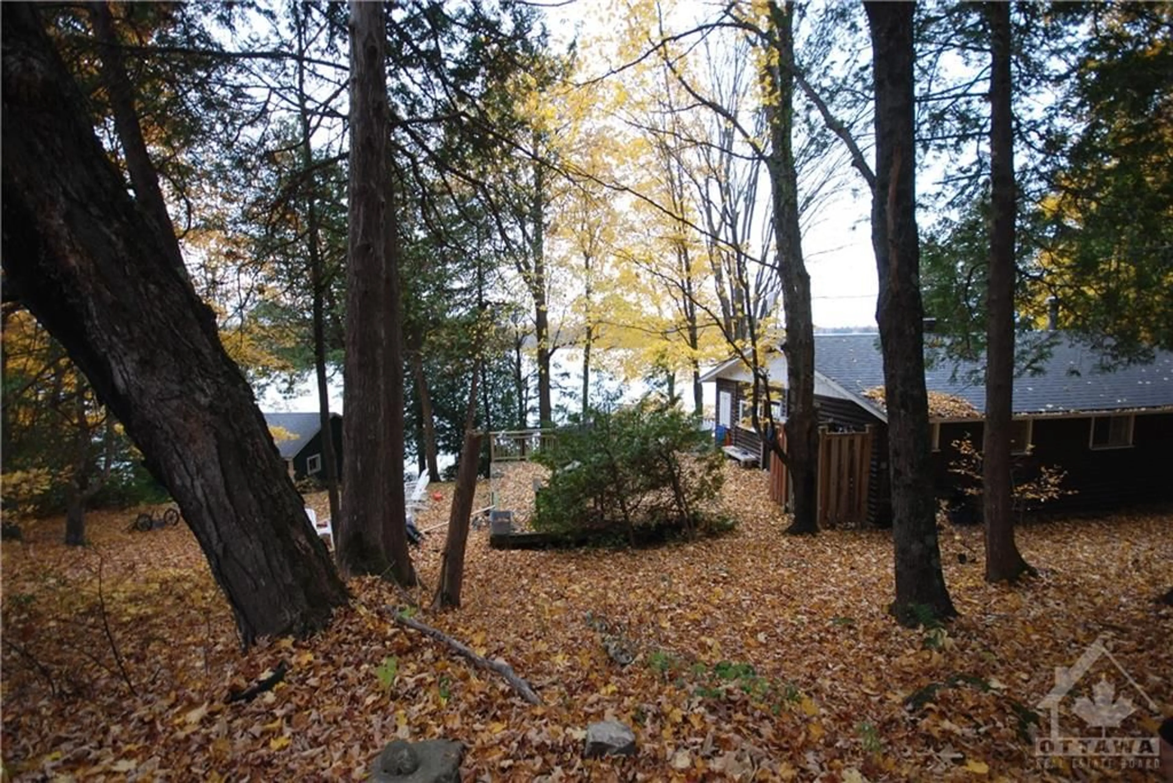 Patio, cottage for 16 B6A Rd, Otter Lake Ontario K0G 1L0