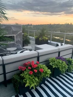 history photo preview