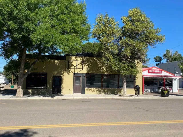 165 Centre St, Tilley 2