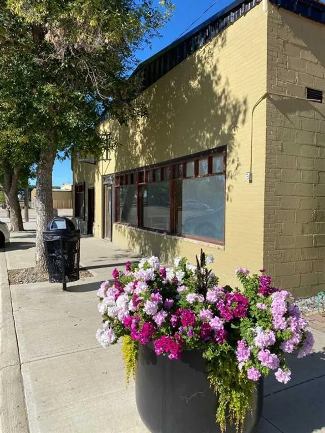 165 Centre St, Tilley 5