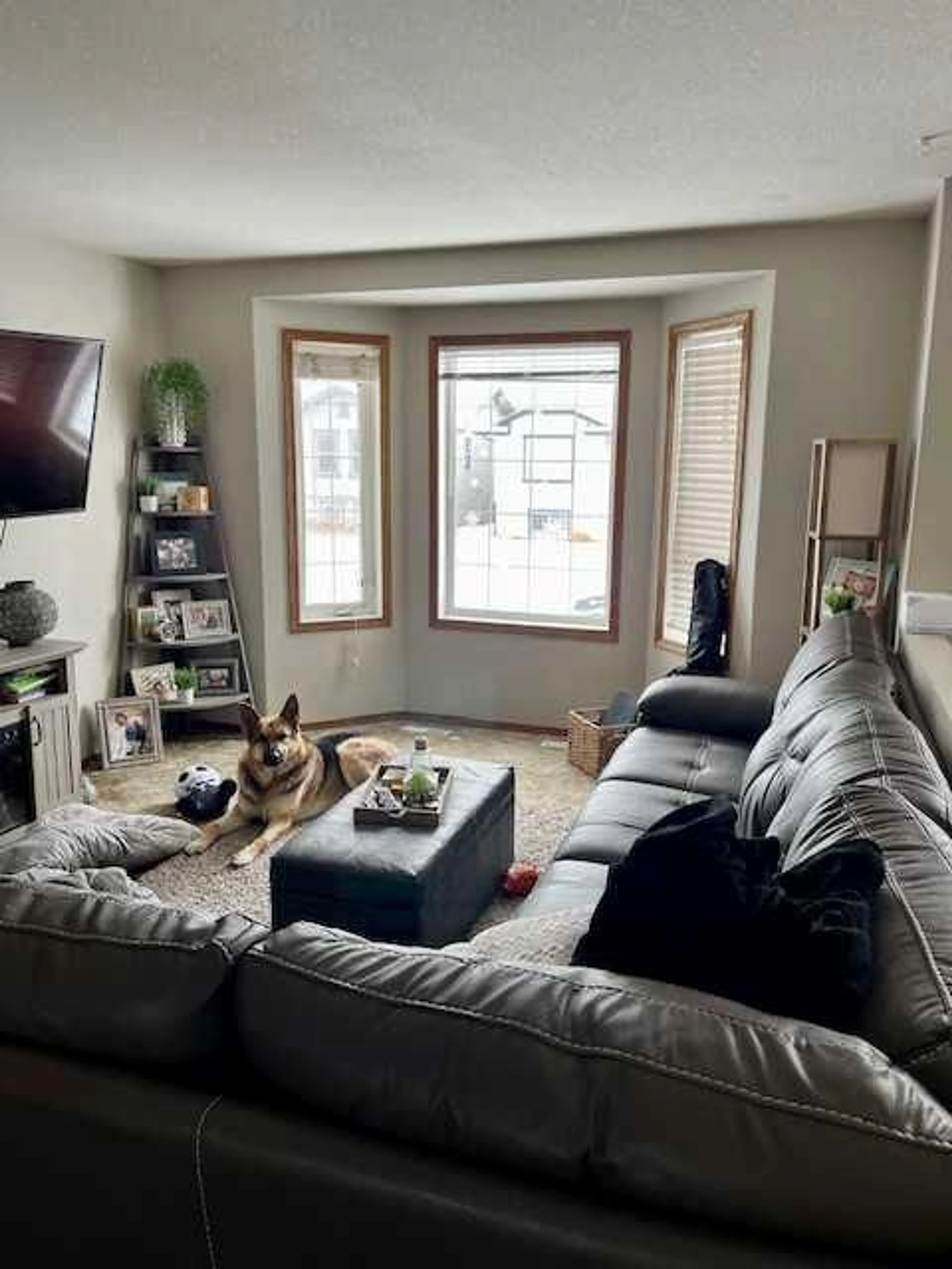 pillar/IMG-A2191511_6.jpg