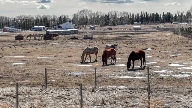 243201 Range Road 33, Rural Rocky View County 3