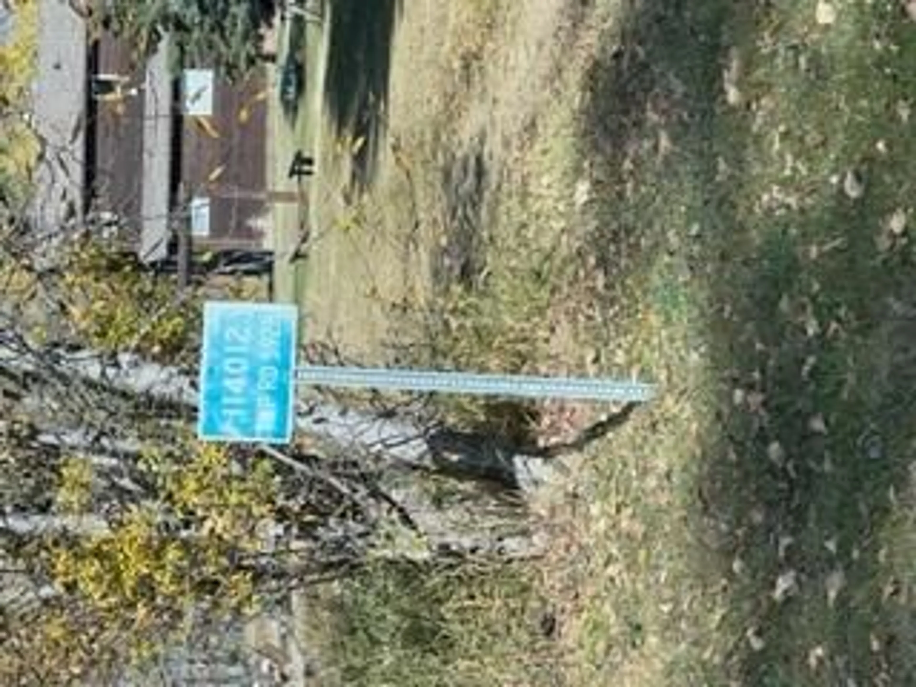 pillar/IMG-A2231551_3.jpg